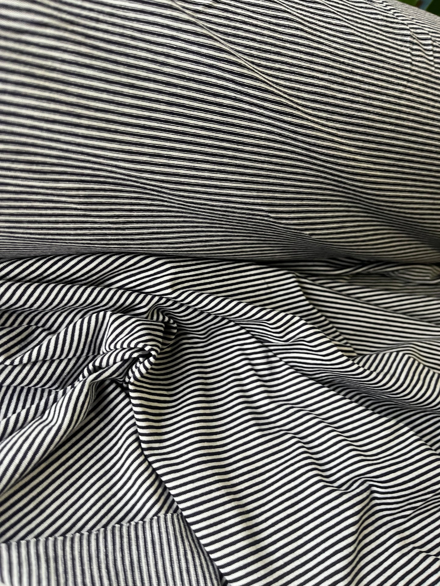 BLUE ZONE 015 cotton jersey pinstripes