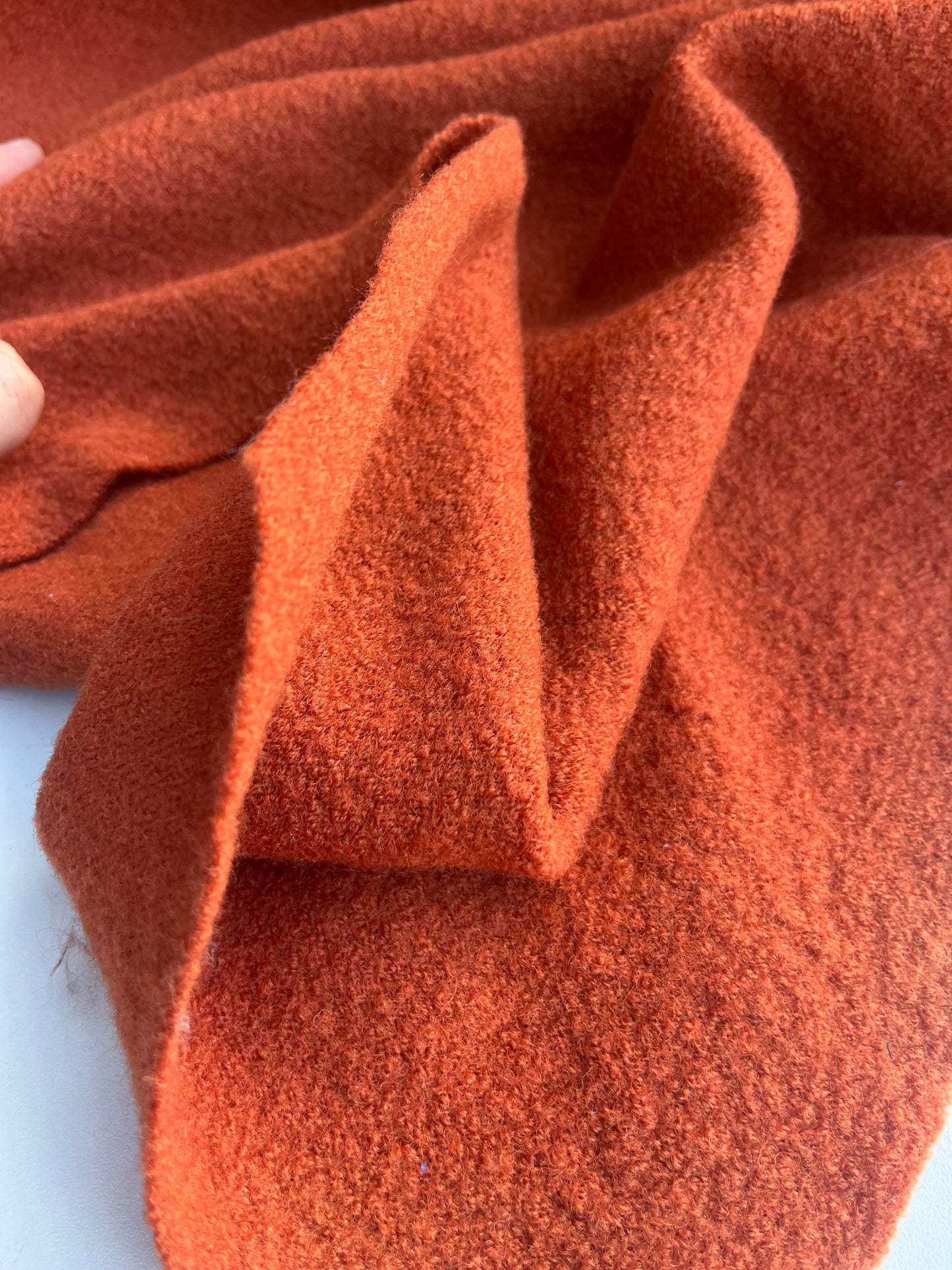 CLAIRE 007 boiled wool pumpkin