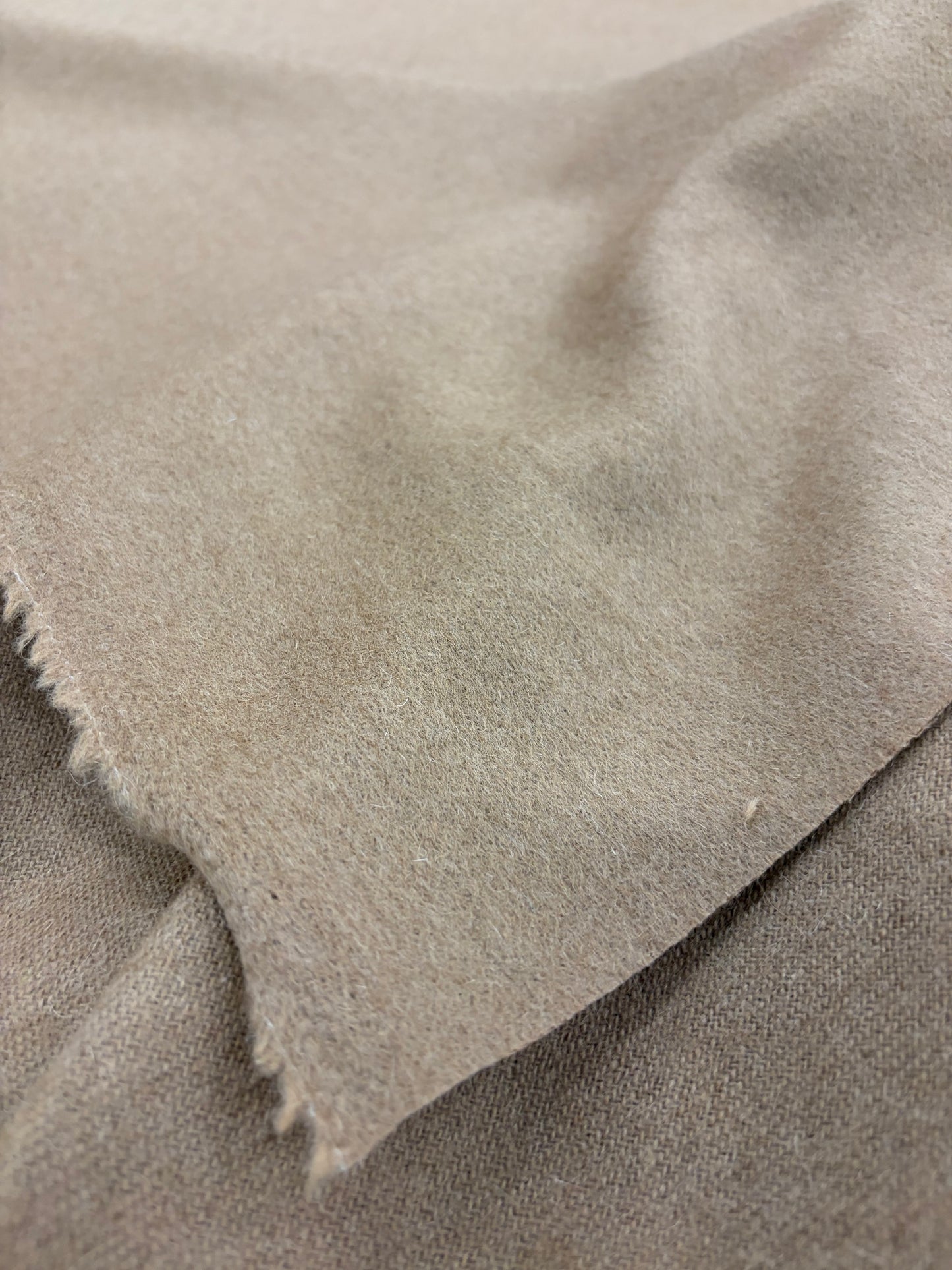 FANNY 018 camel velours de laine