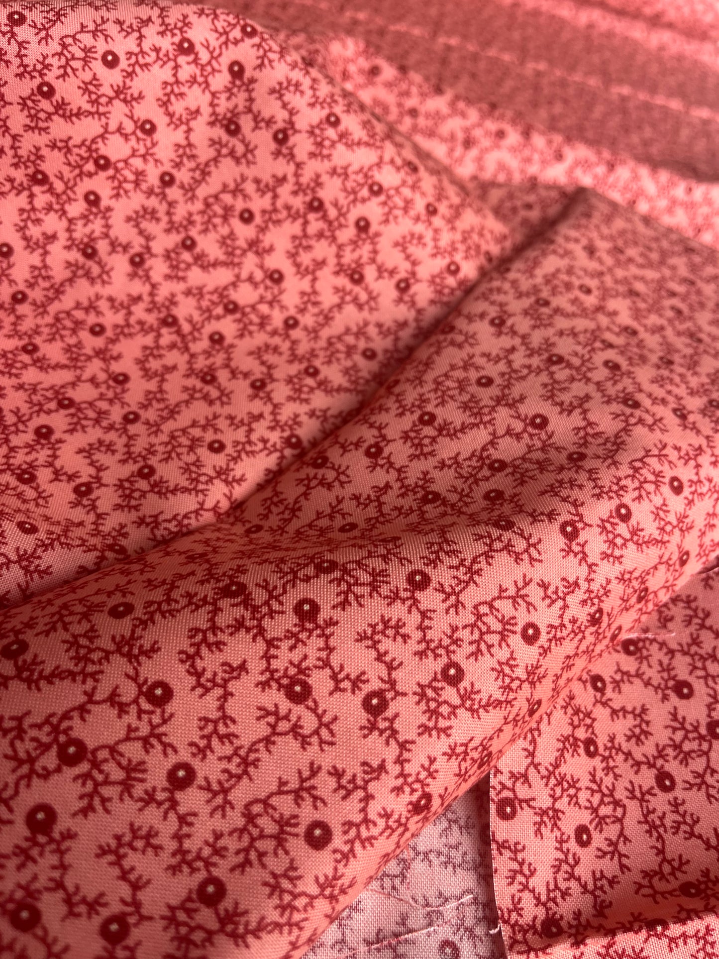 MAHARADJA 037 Indian cotton blackberry hedge coral pink