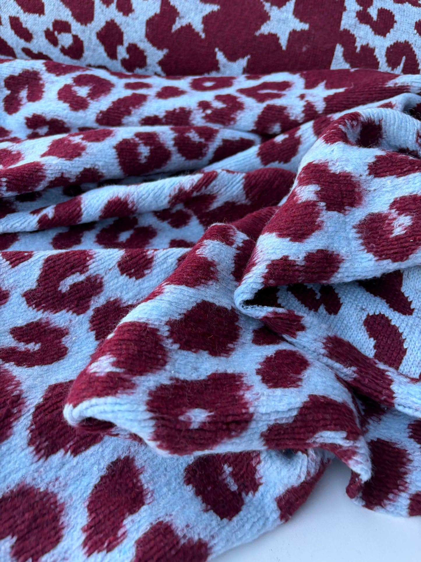 TODD 002 light blue/burgundy  animalier heavy boiled wool