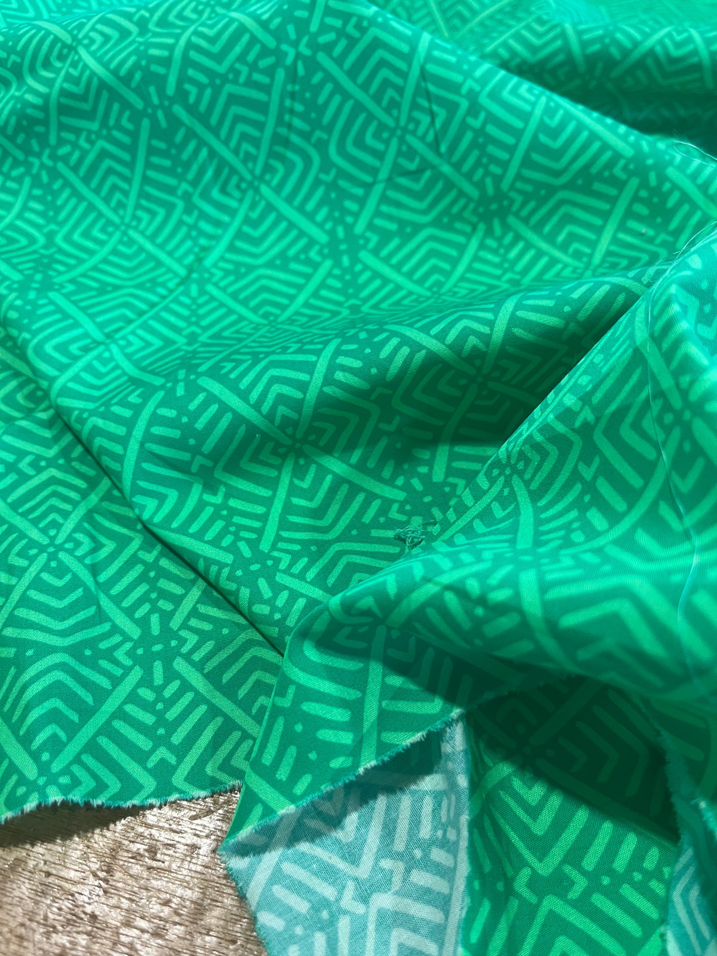 C02 CAN 1510 poplin green print