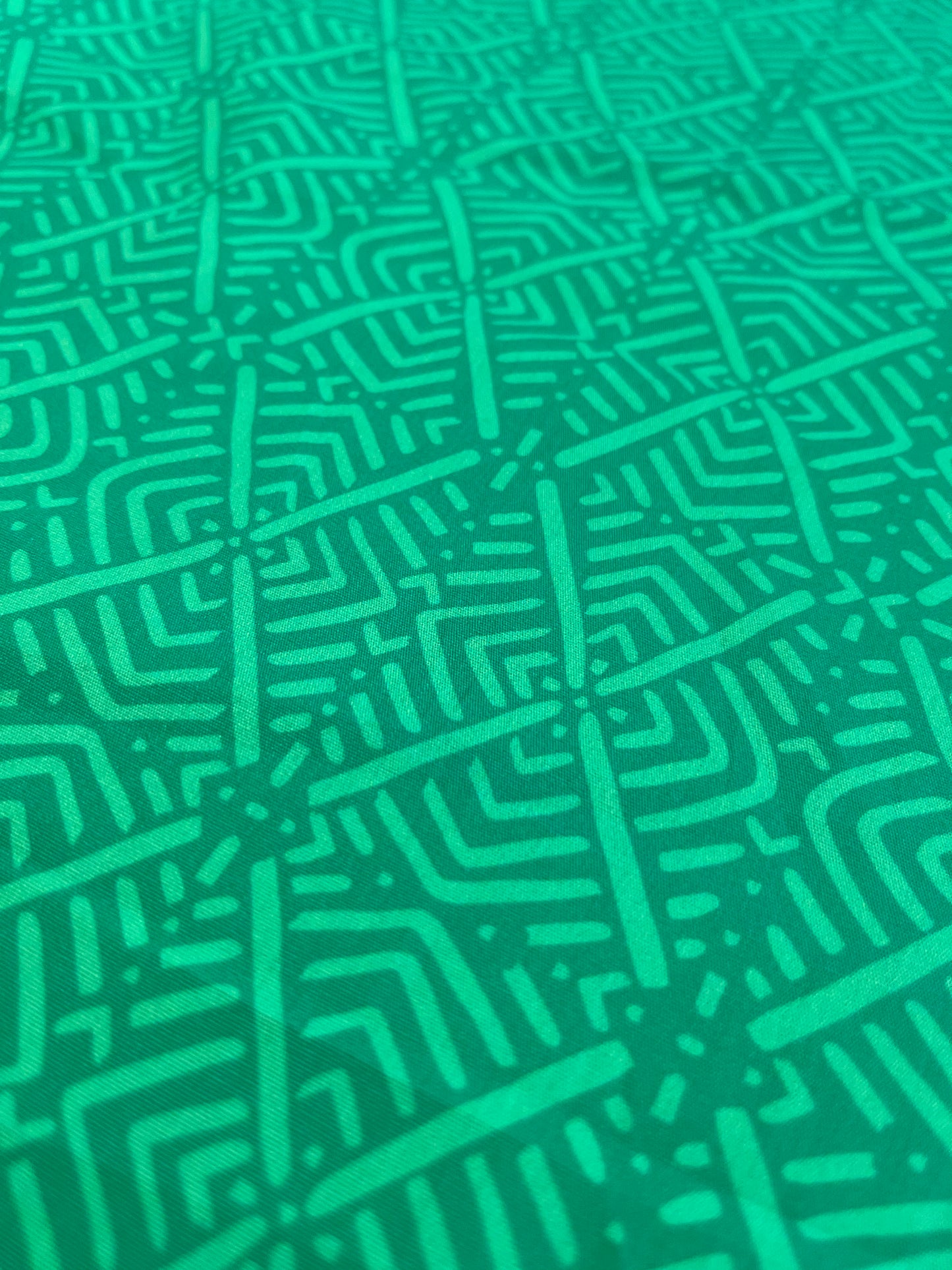 C02 CAN 1510 poplin green print