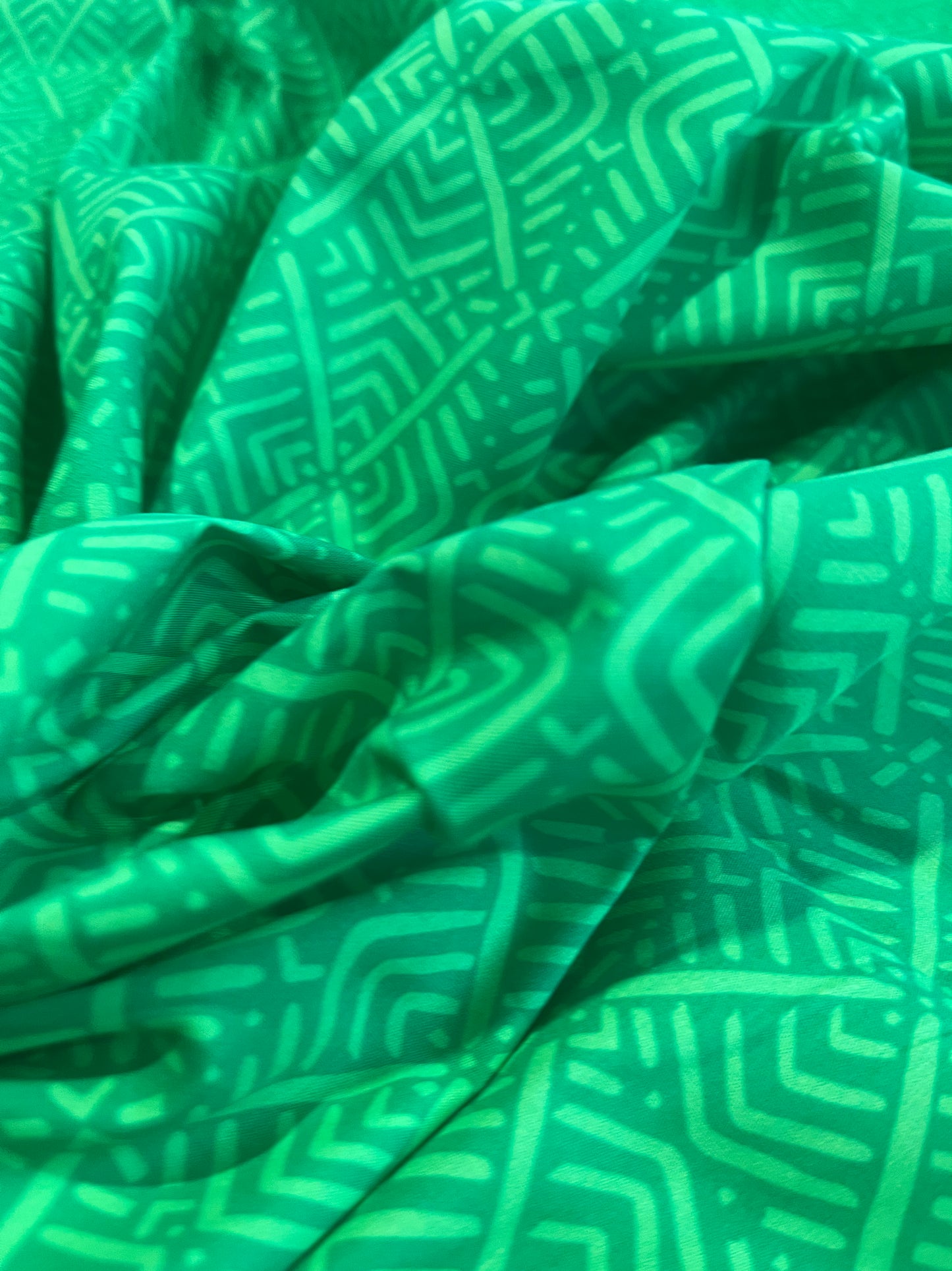 C02 CAN 1510 poplin green print