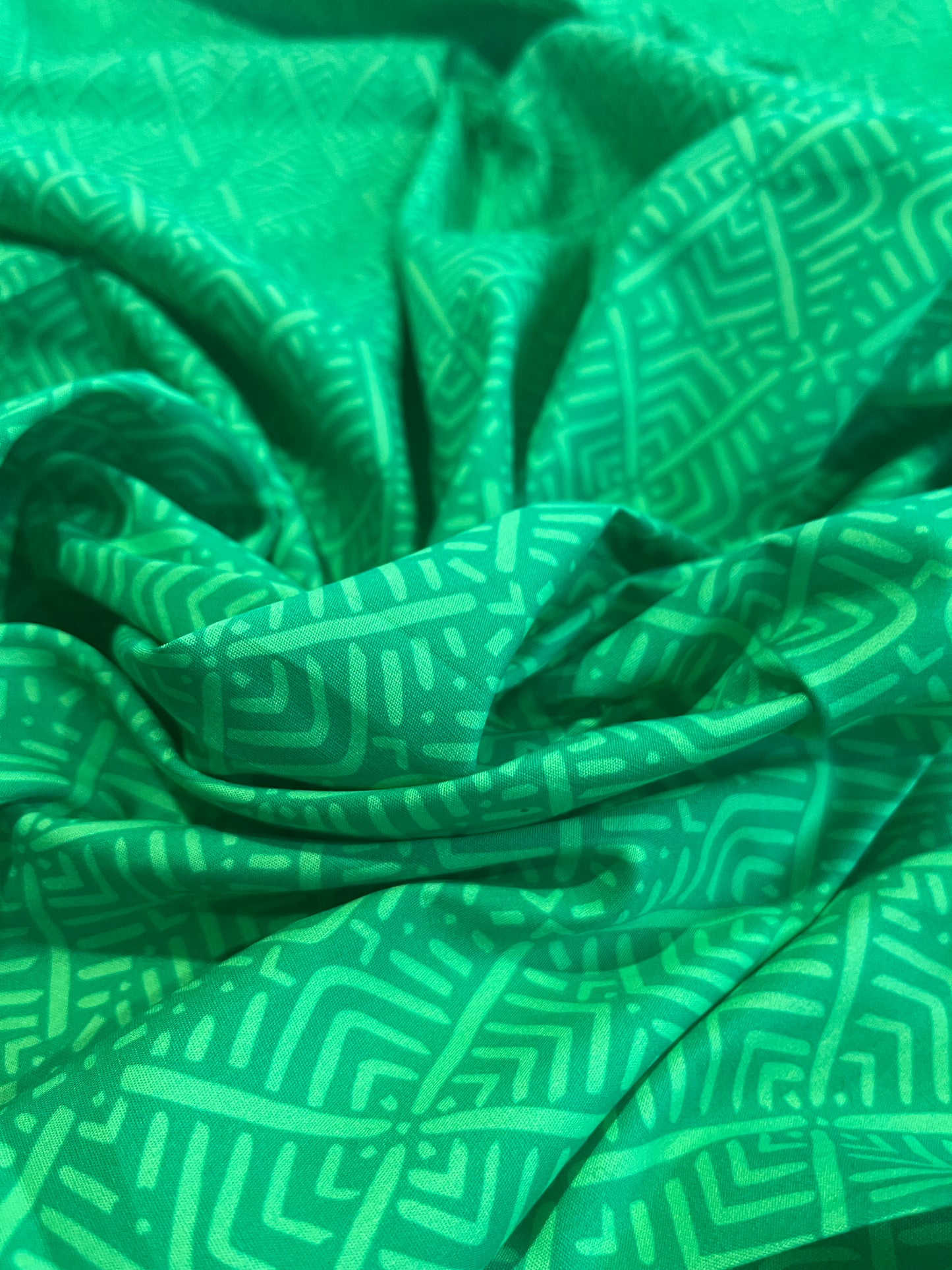 C02 CAN 1510 poplin green print