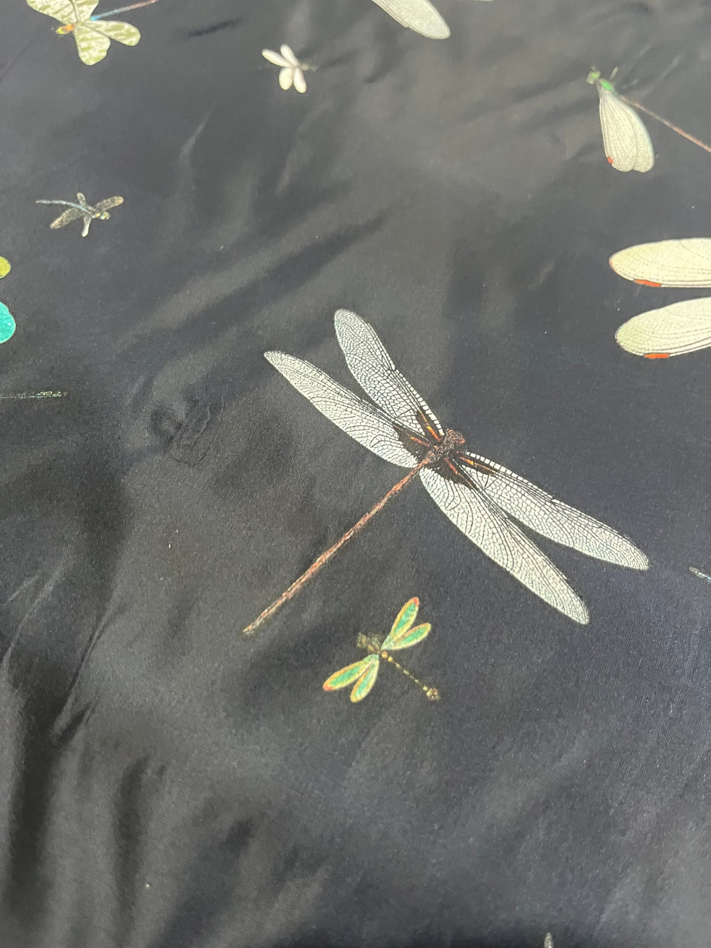 D02 CAN 1550 satin with dragonflies