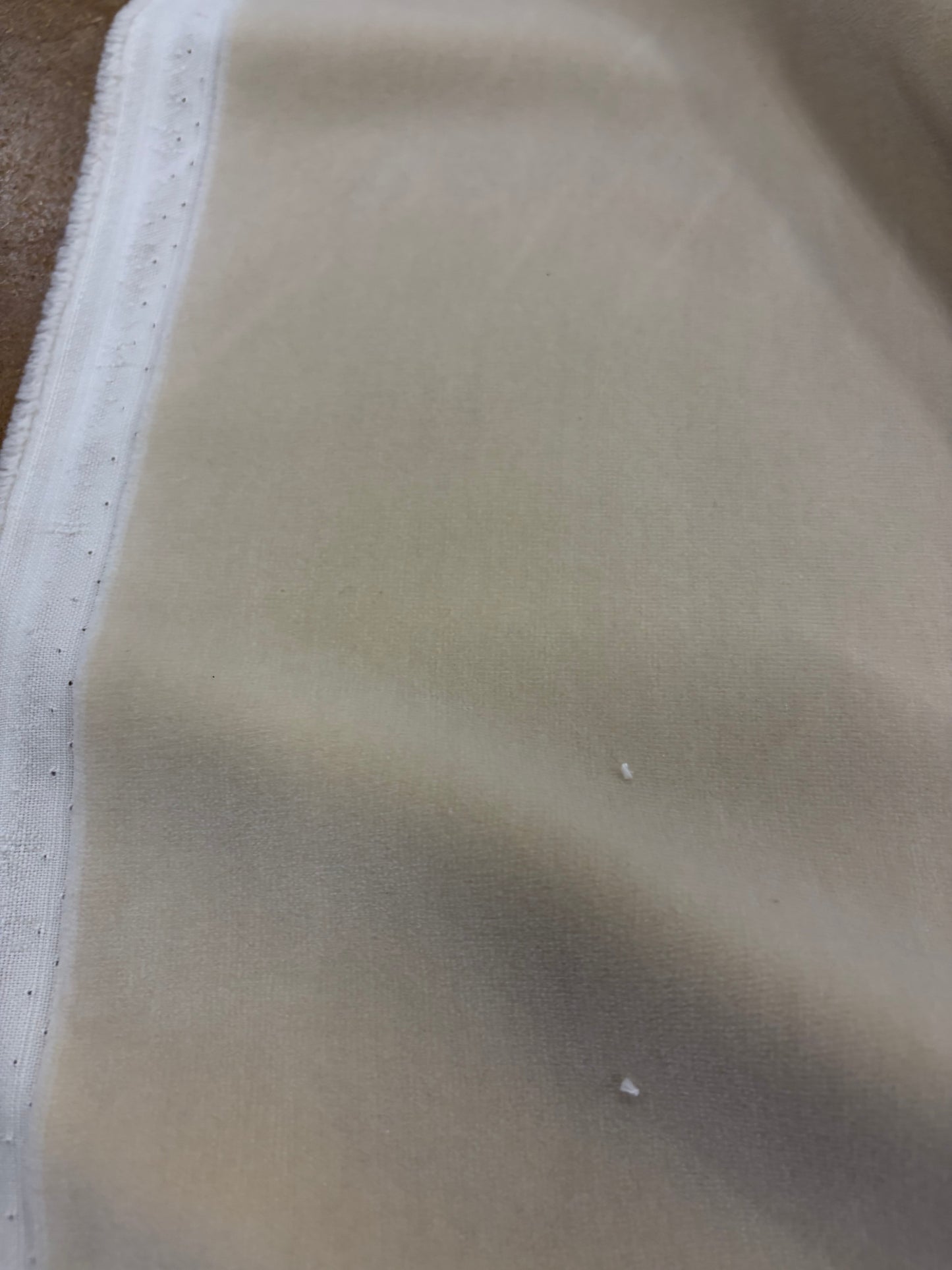 ZINO 013 cream color cotton velvet