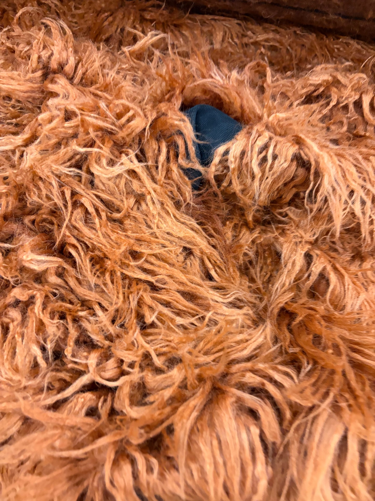 WALTHER 013 rust colourd hairy fabric with seethrough parts