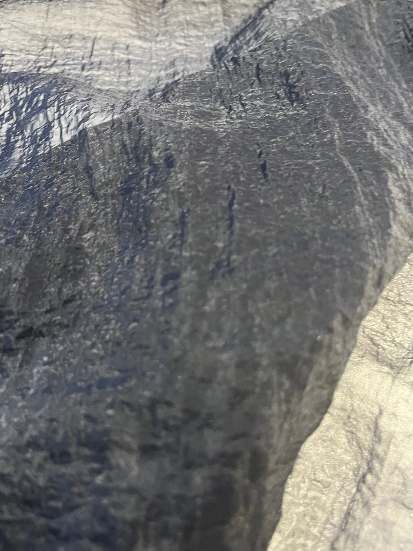 CLAIRE 155 organza black