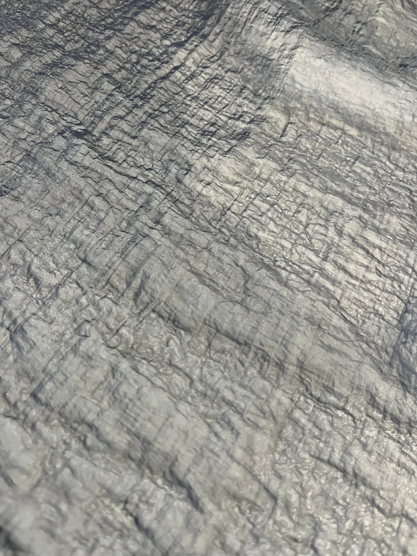 CLAIRE 155 organza black