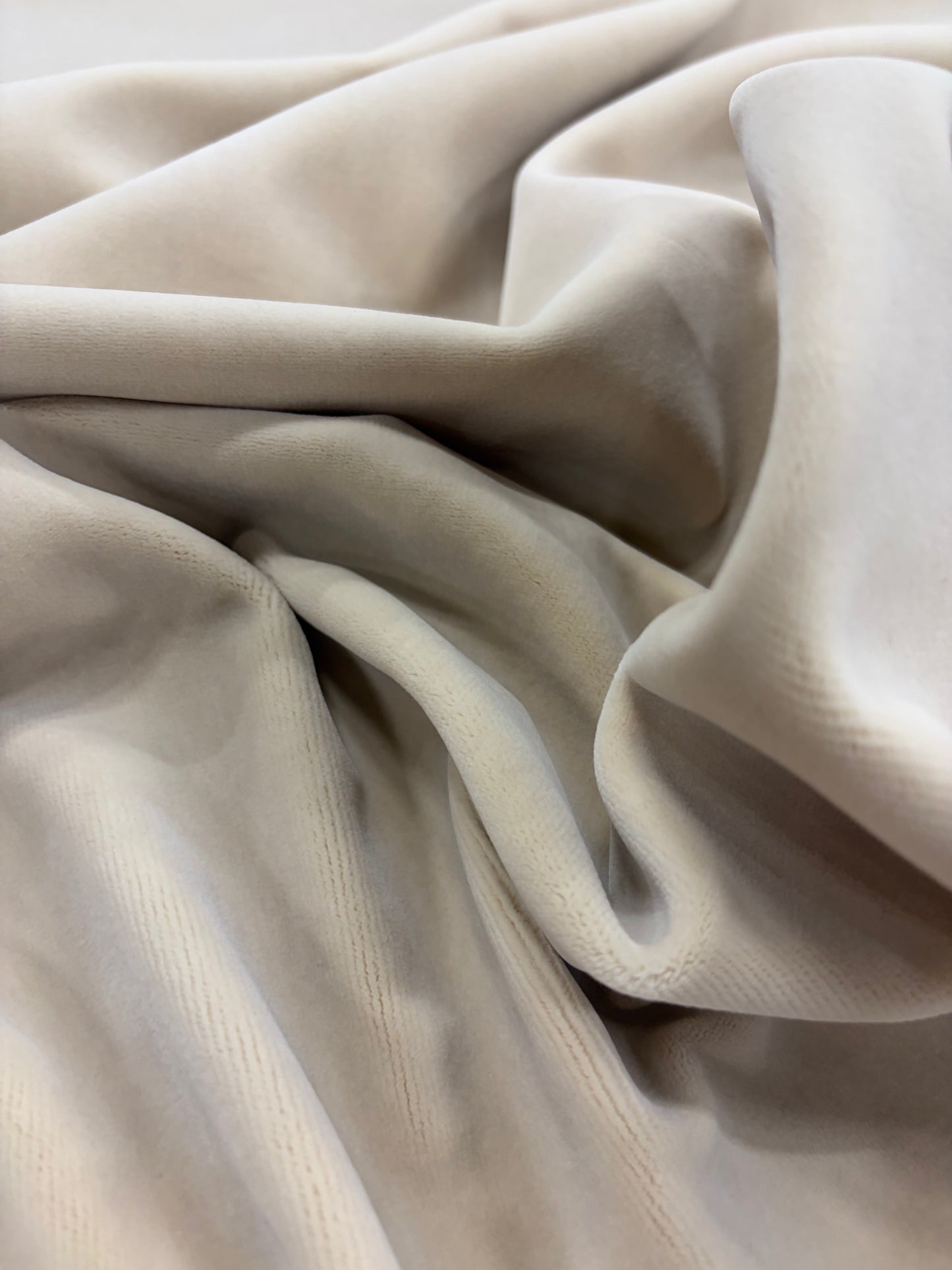 XENA 018 ivory colored cotton velvet
