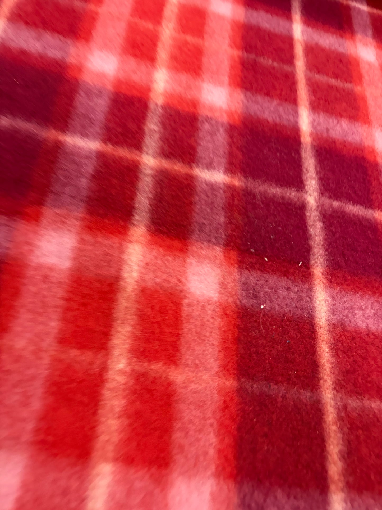 XENA 030 checkered boiled wool