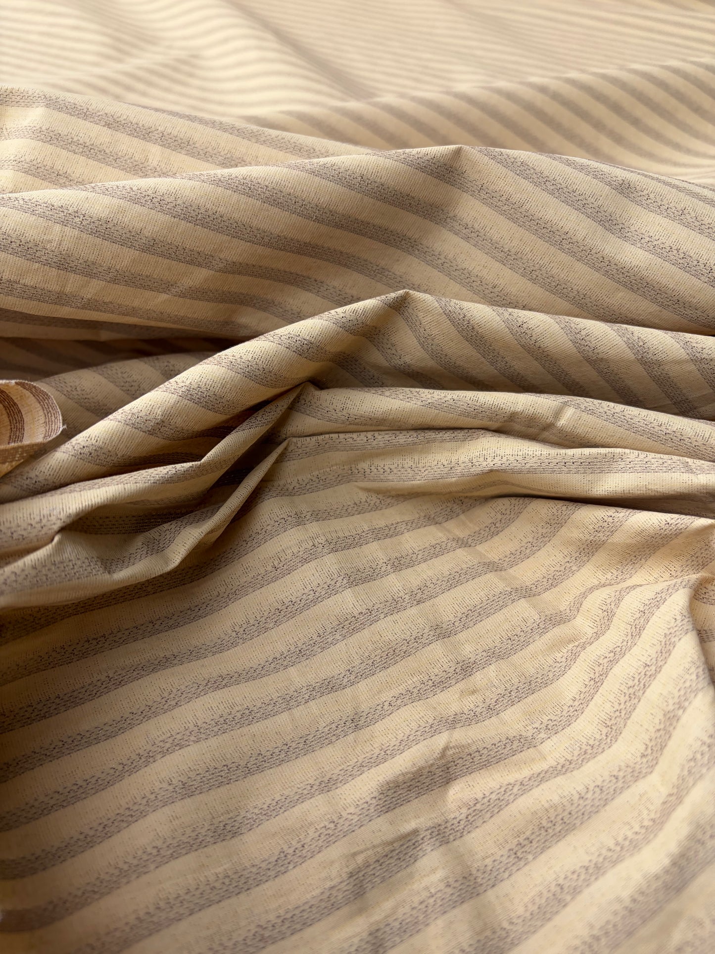 ERICA 037 colourwoven cotton voile stripes with pu coating