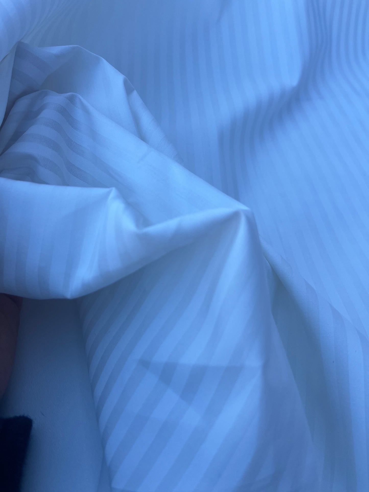 STRIPE SOCIETY 007 cotton poplin light grey 5mm stripes