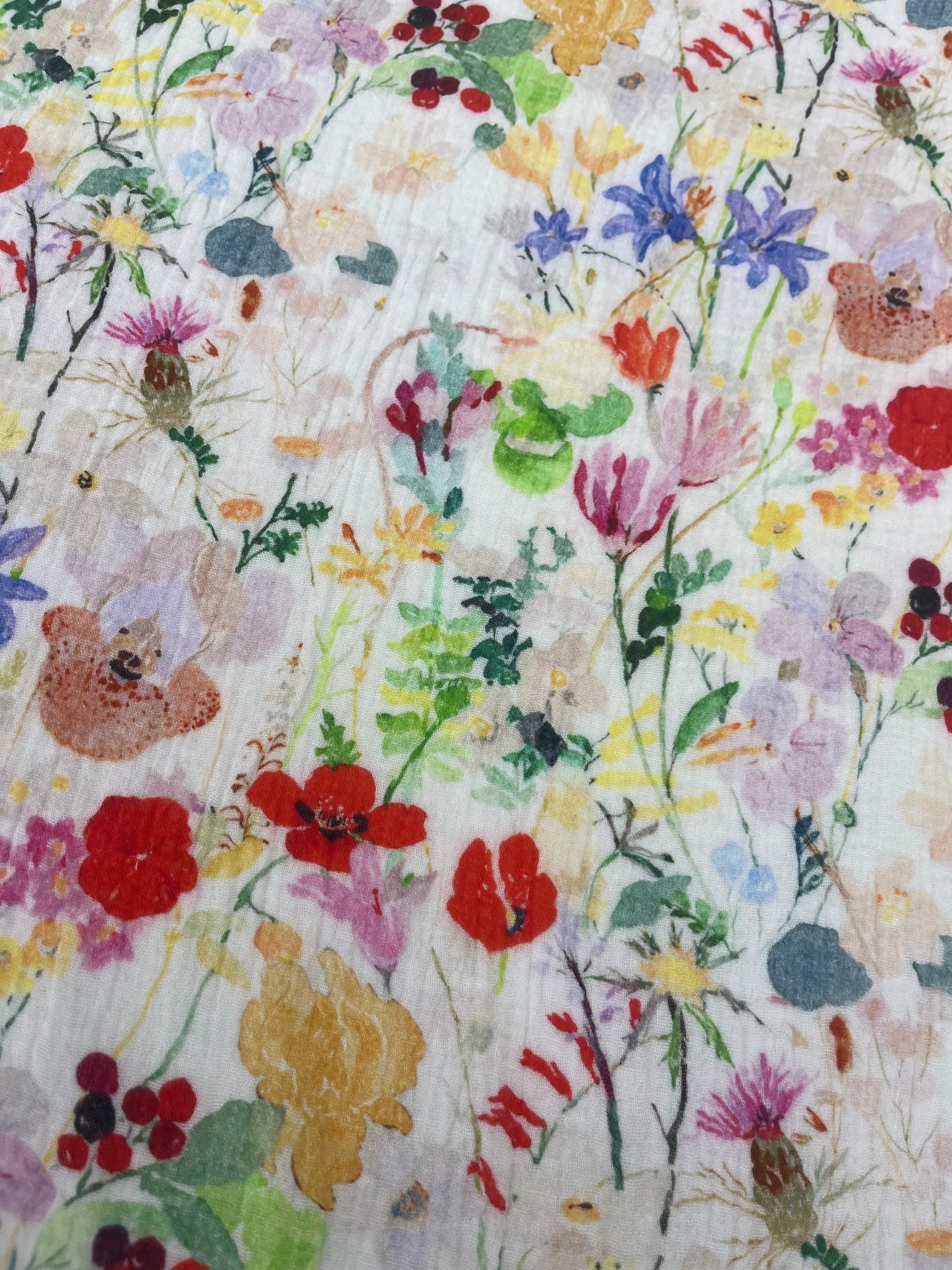 TERESA 021 double gaze floral field
