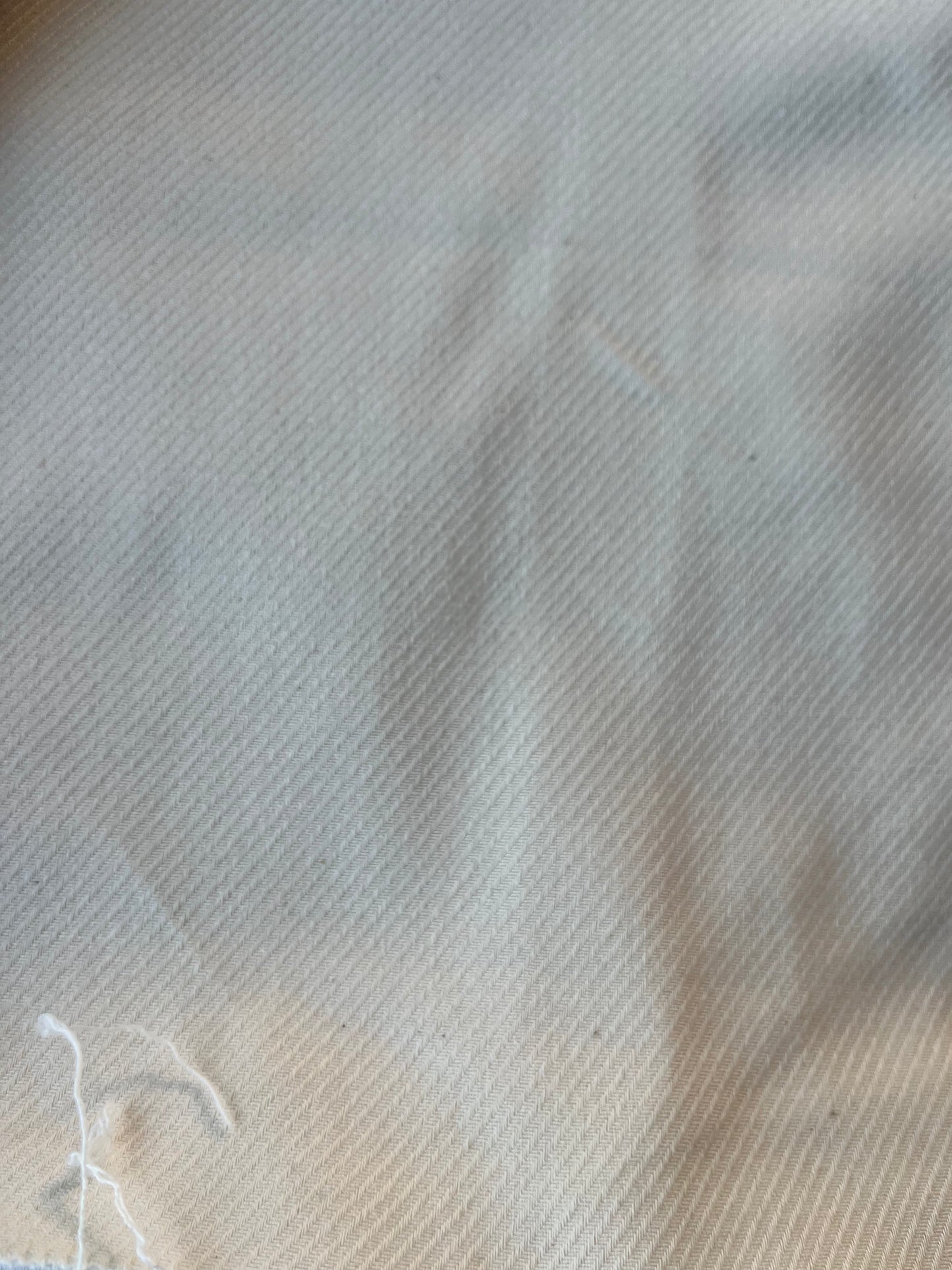 ALAN 002 heavy cotton tricotine ecru