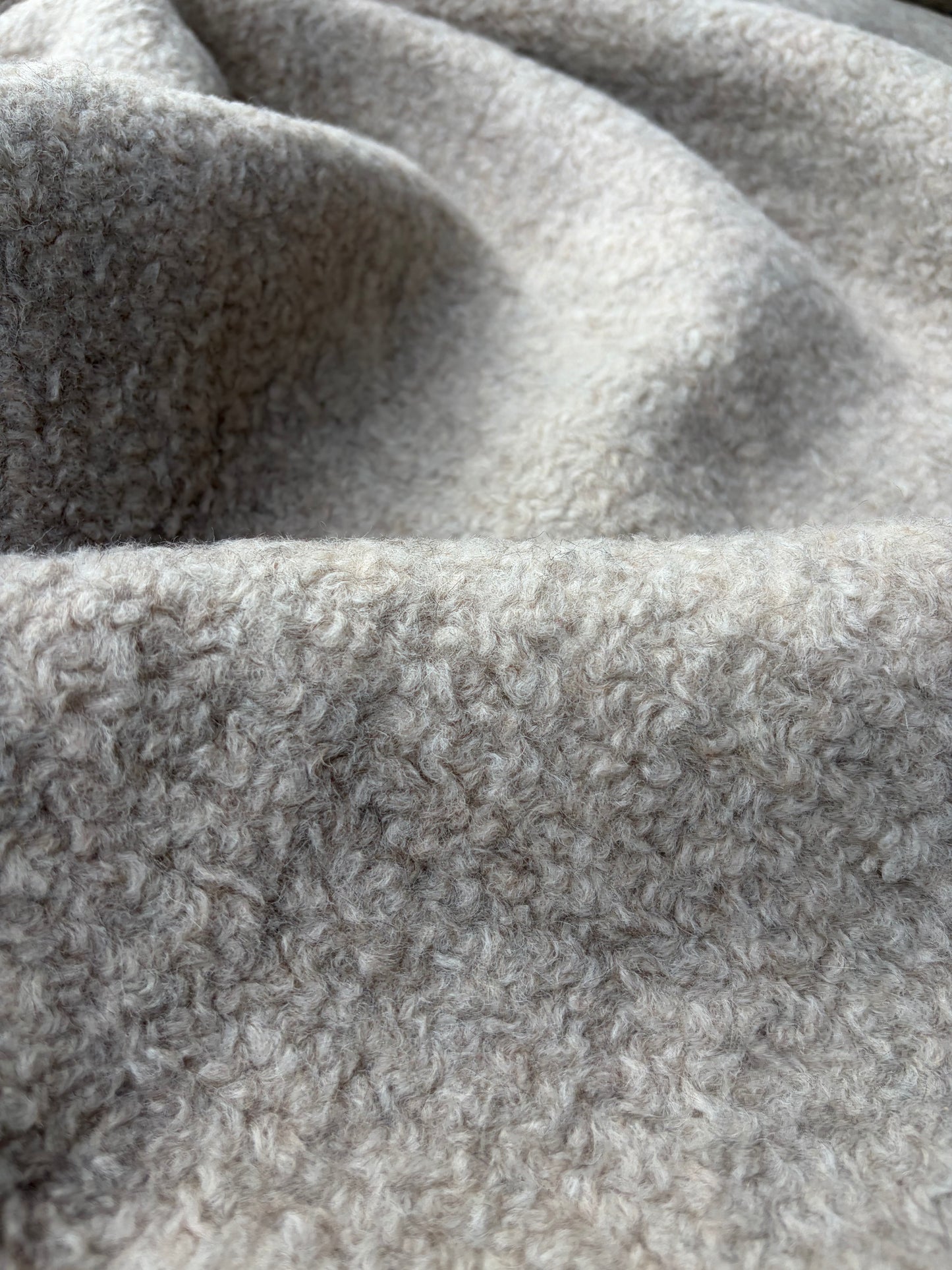 WILD WOOL 005 greige boiled wool