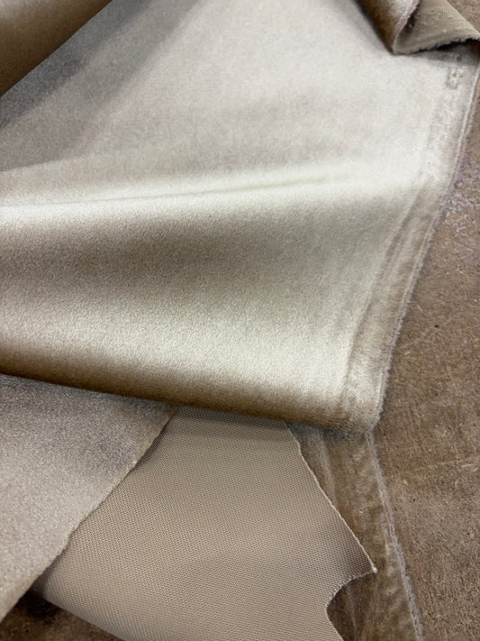 WONKA 011  jersey velvet camel