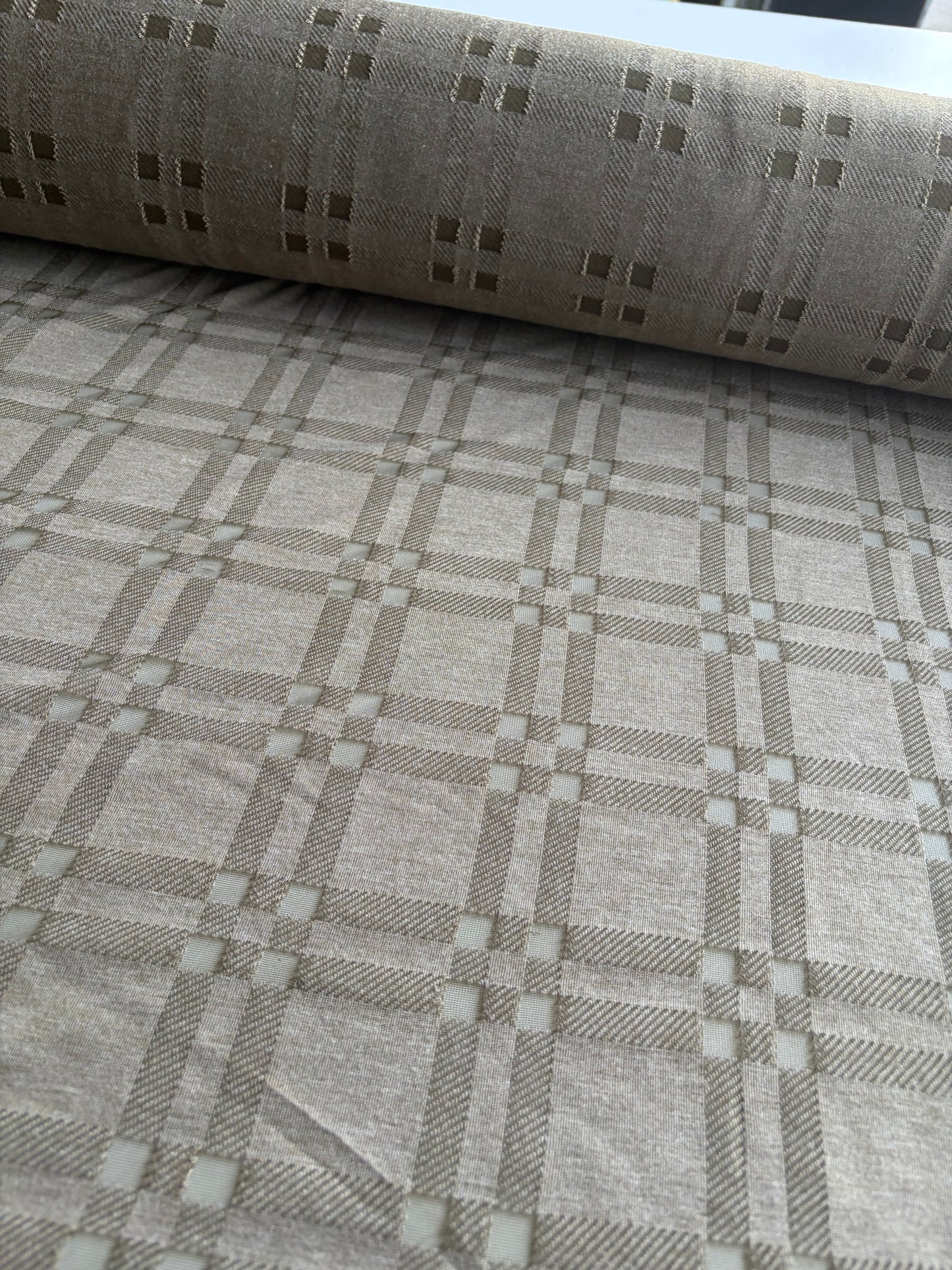 GERMAIN 008 bis  cotton jersey fantasy