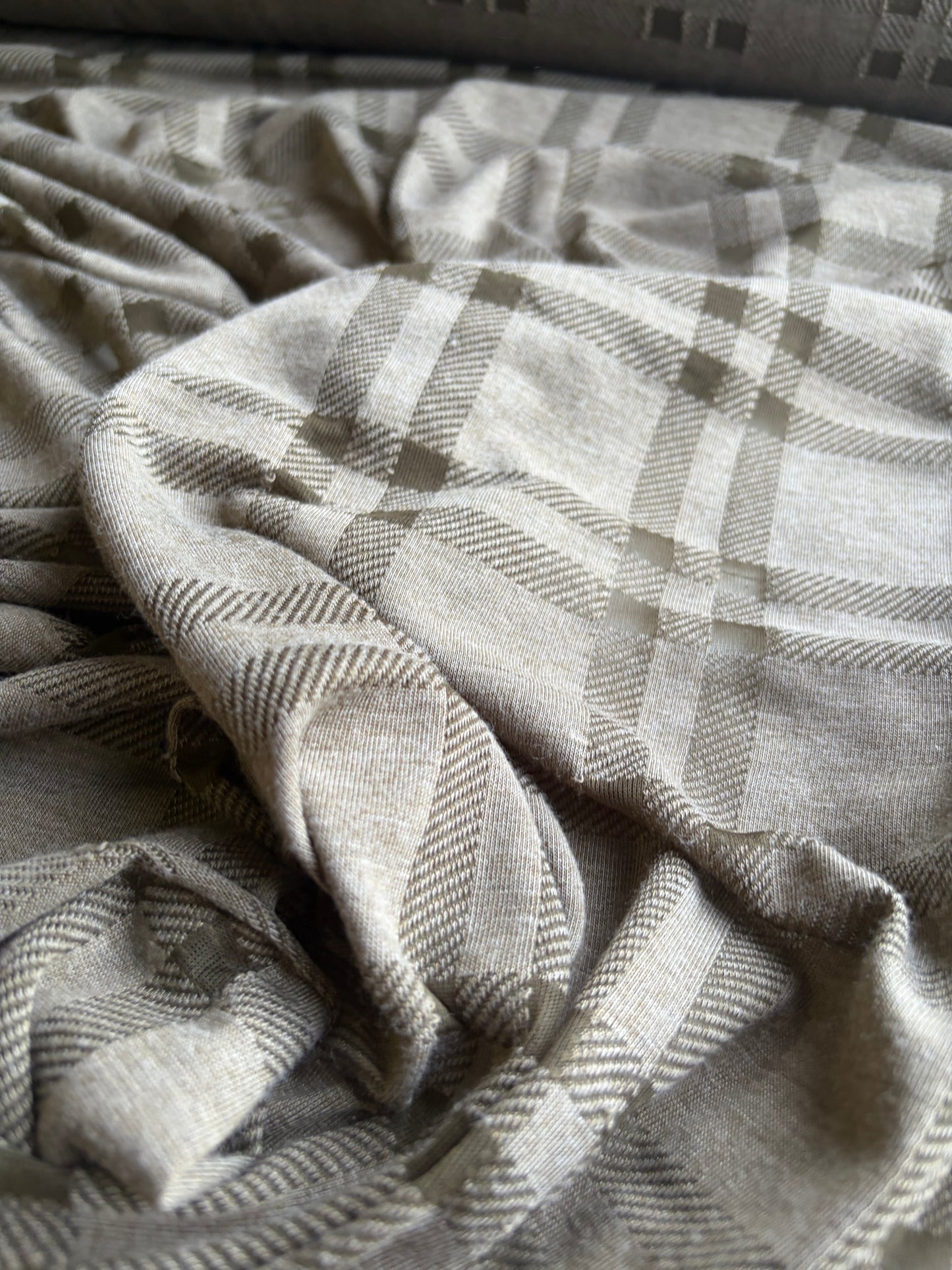 GERMAIN 008 bis  cotton jersey fantasy