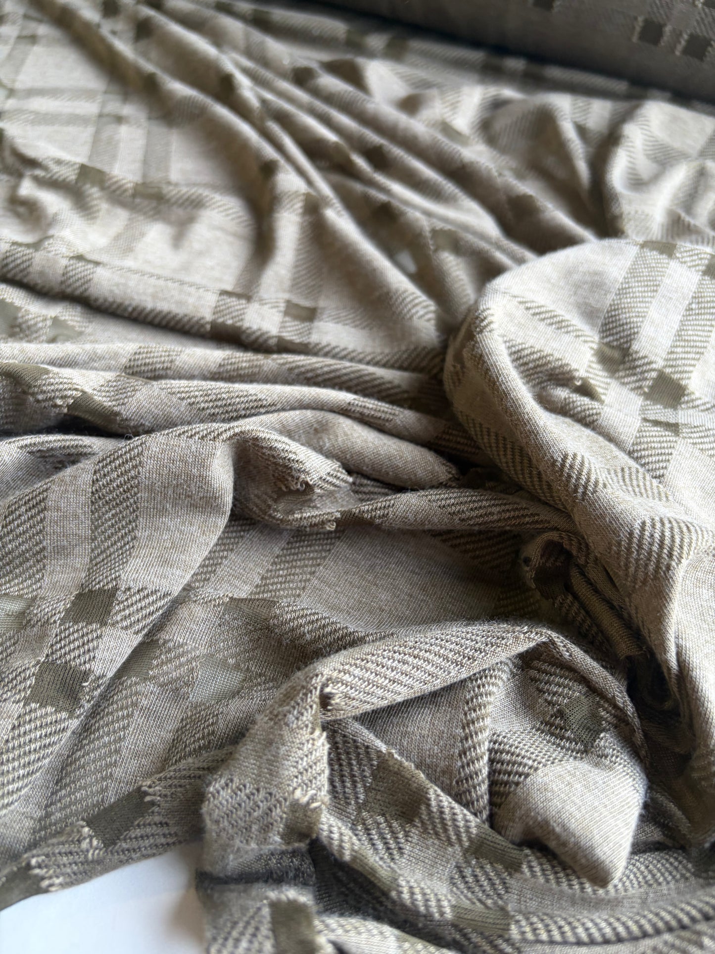GERMAIN 008 bis  cotton jersey fantasy