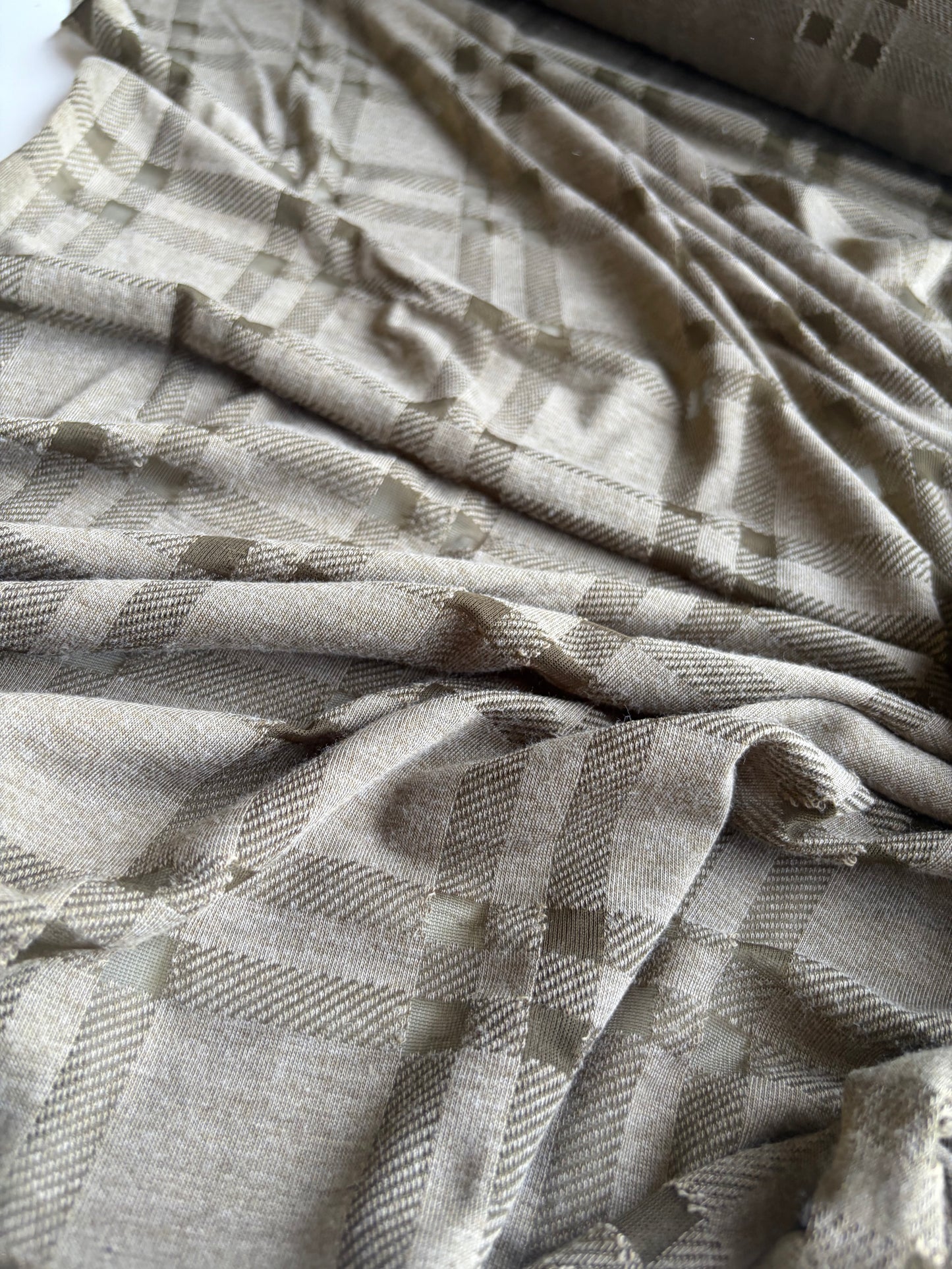 GERMAIN 008 bis  cotton jersey fantasy