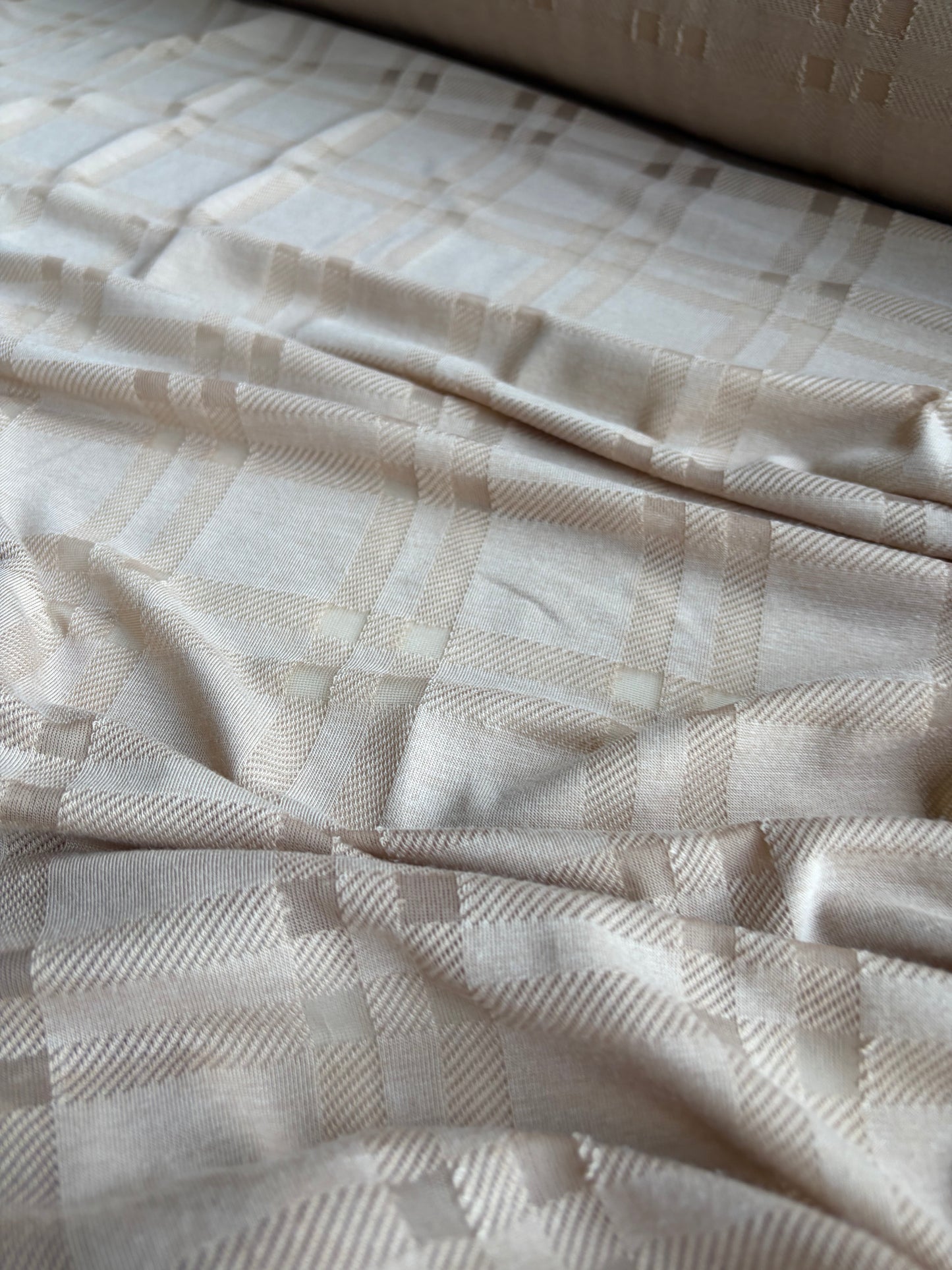 GERMAIN 008 bis  cotton jersey fantasy