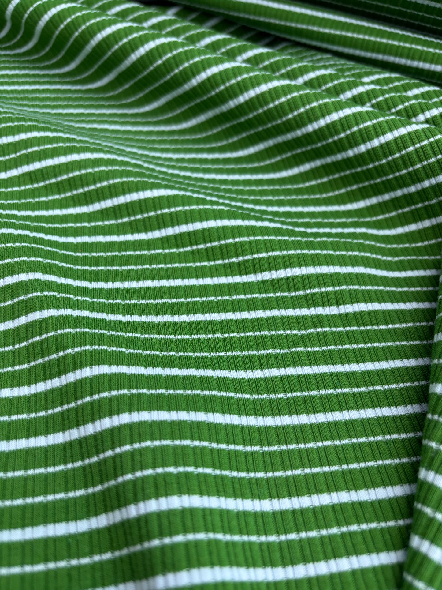 B.ROSE 016 heavy cotton rib green striped