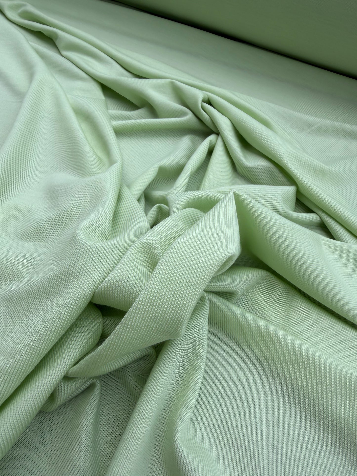 B.ROSE 037 viscose jersey mint green