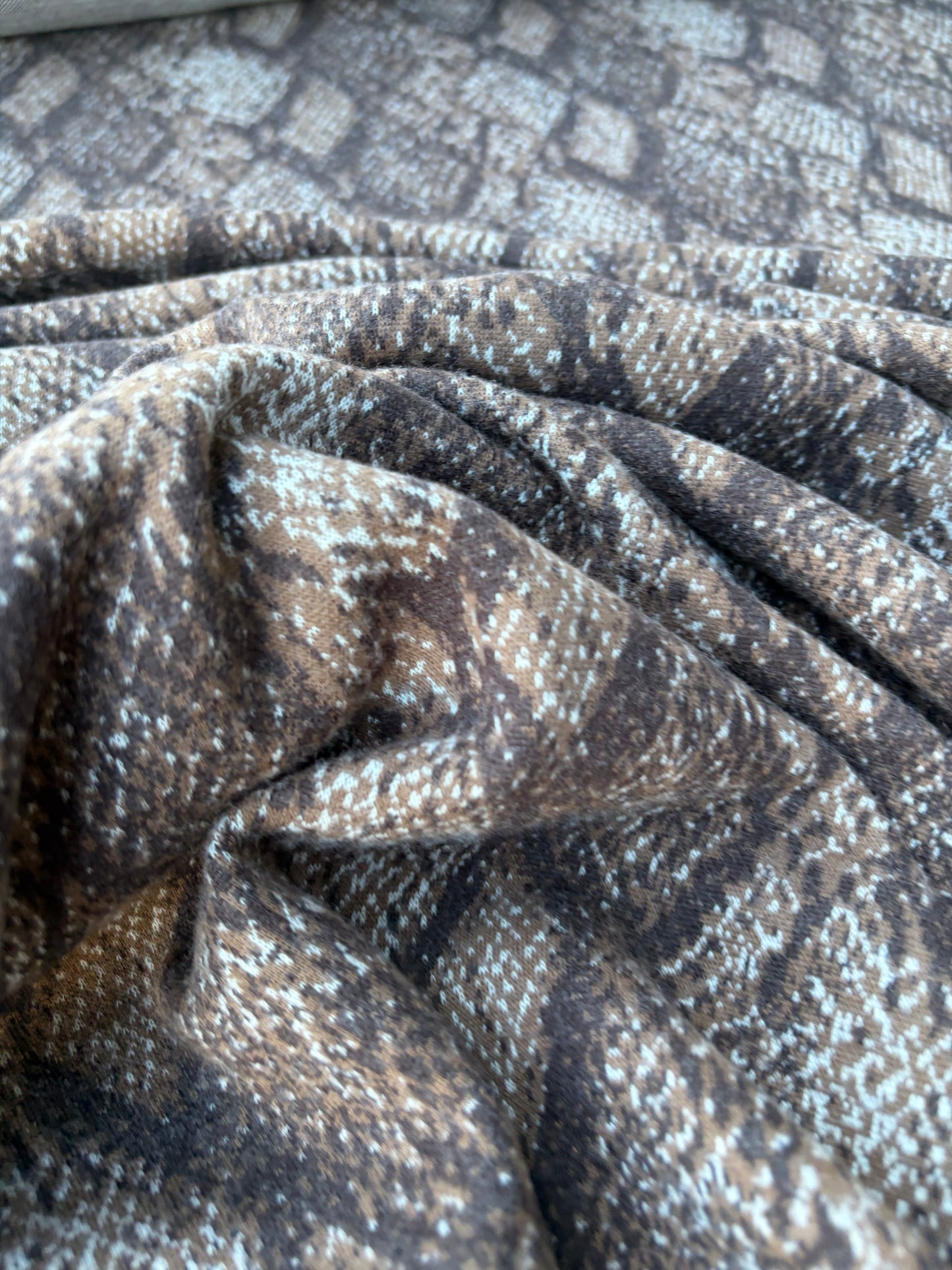 BILLY 001 brushed snake design heavy jersey jacquard