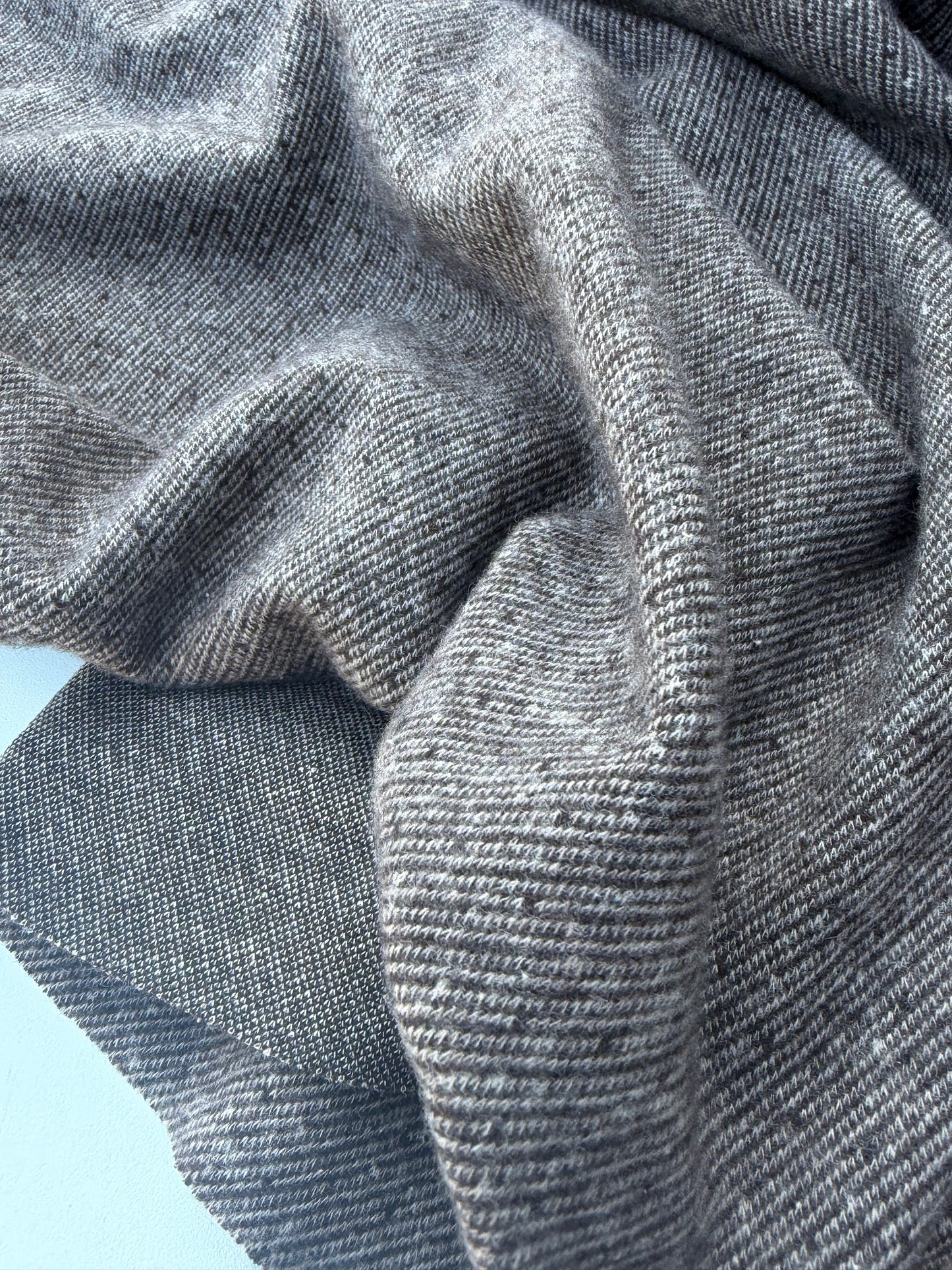 CHARLY 009 brushed  heavy jersey jacquard