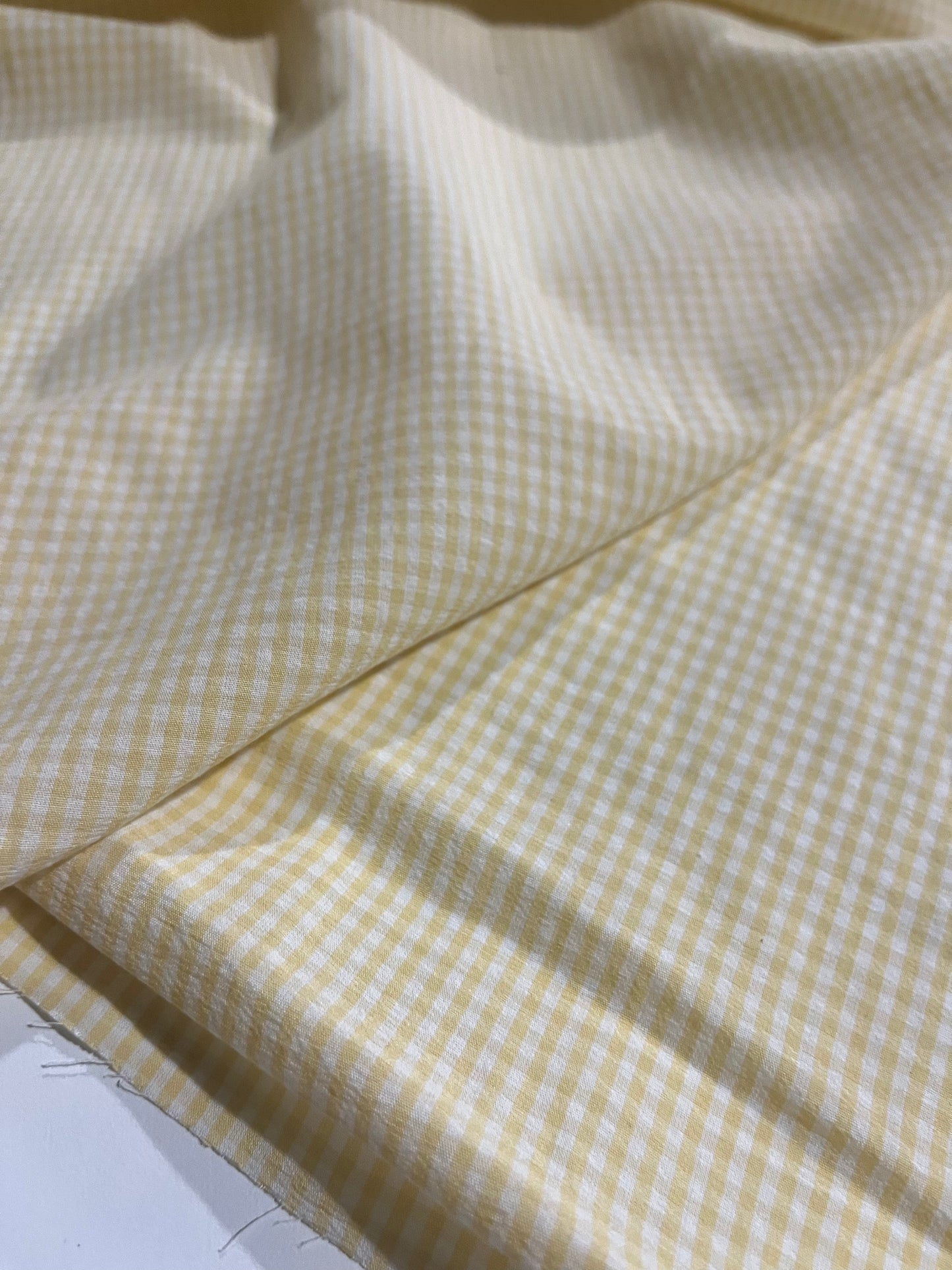 YVETTE 022 Canclini cotton check