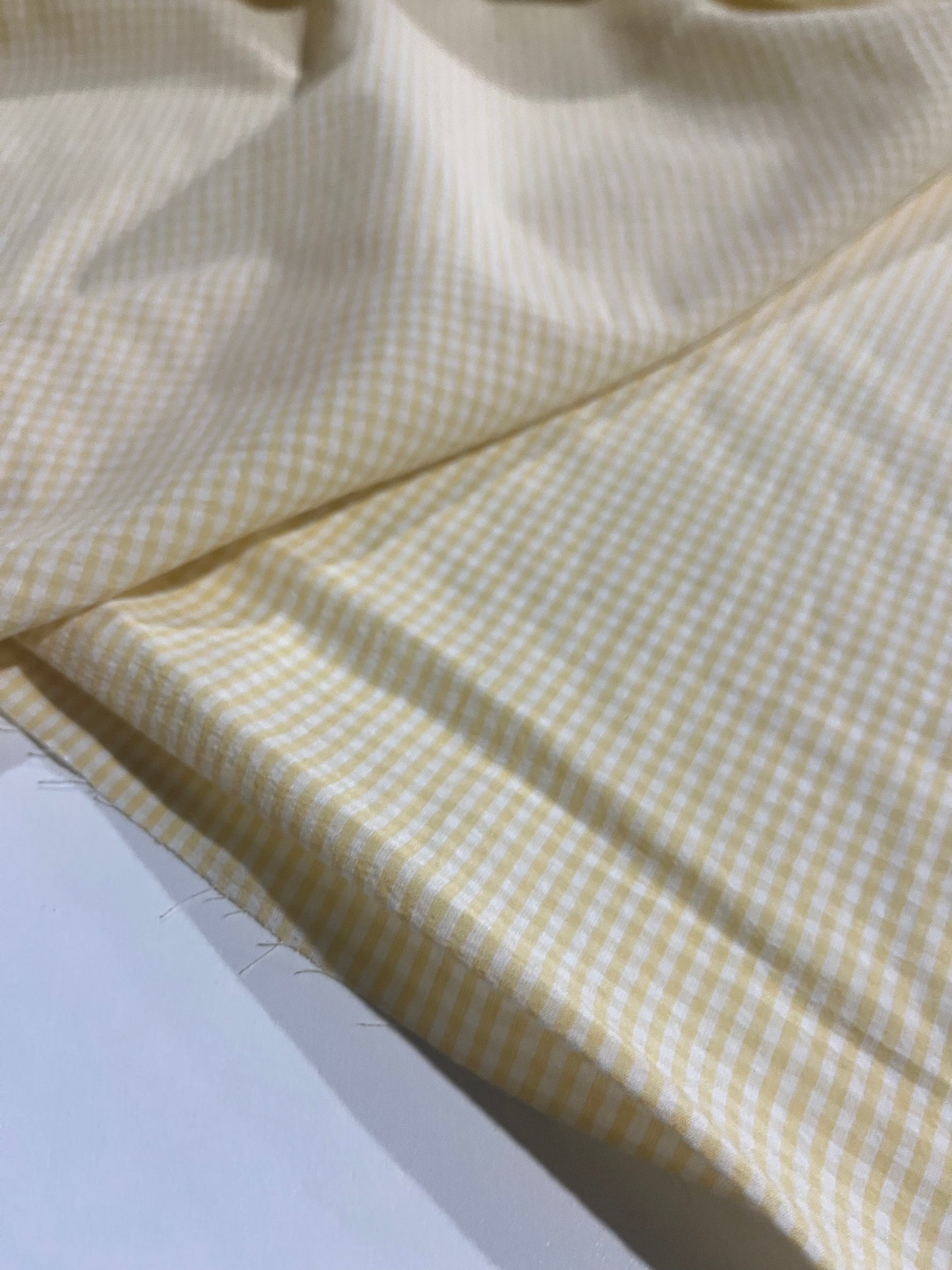 YVETTE 022 Canclini cotton check