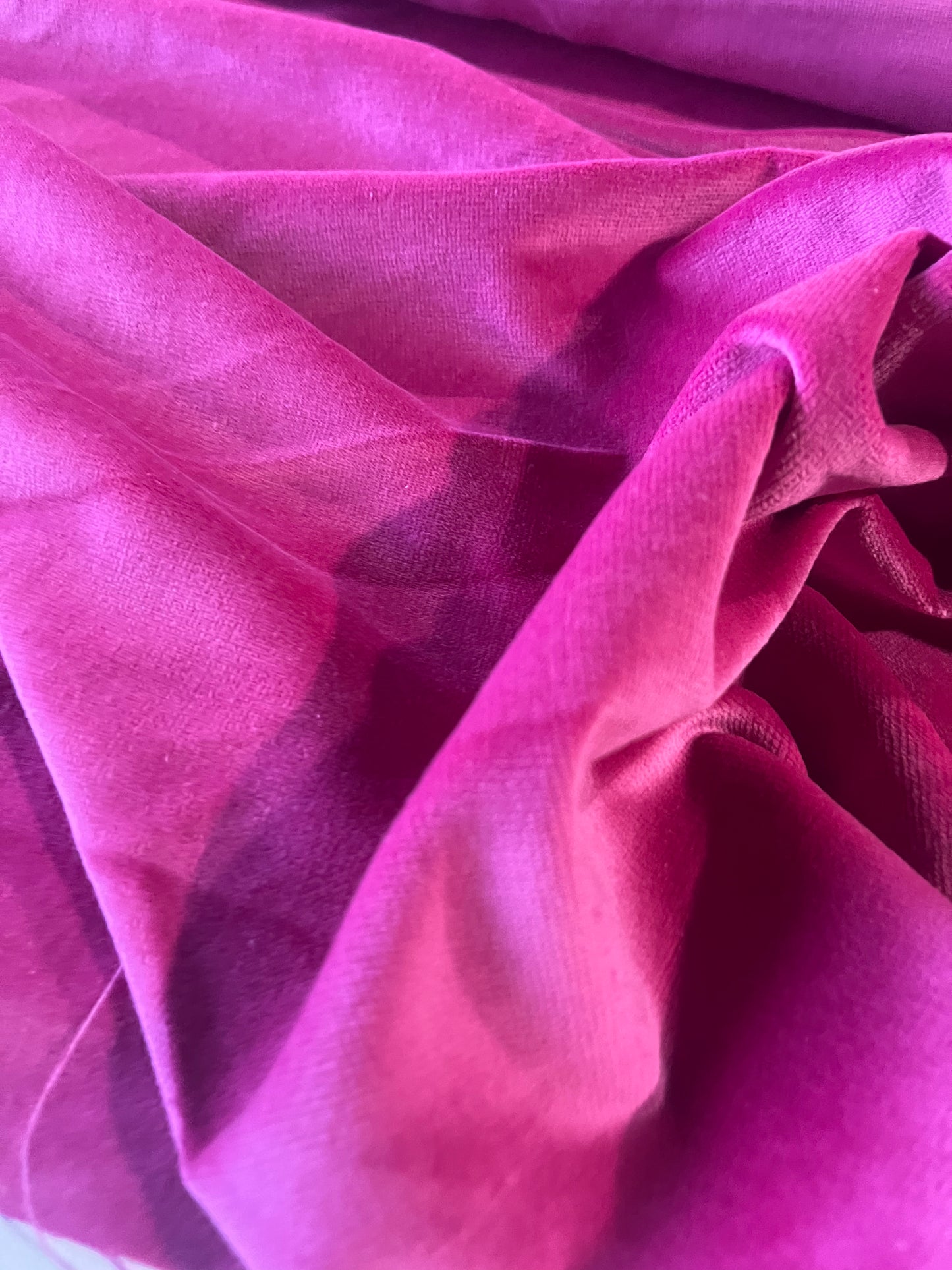BACCHUS 016 cotton velvet babycord lollypop