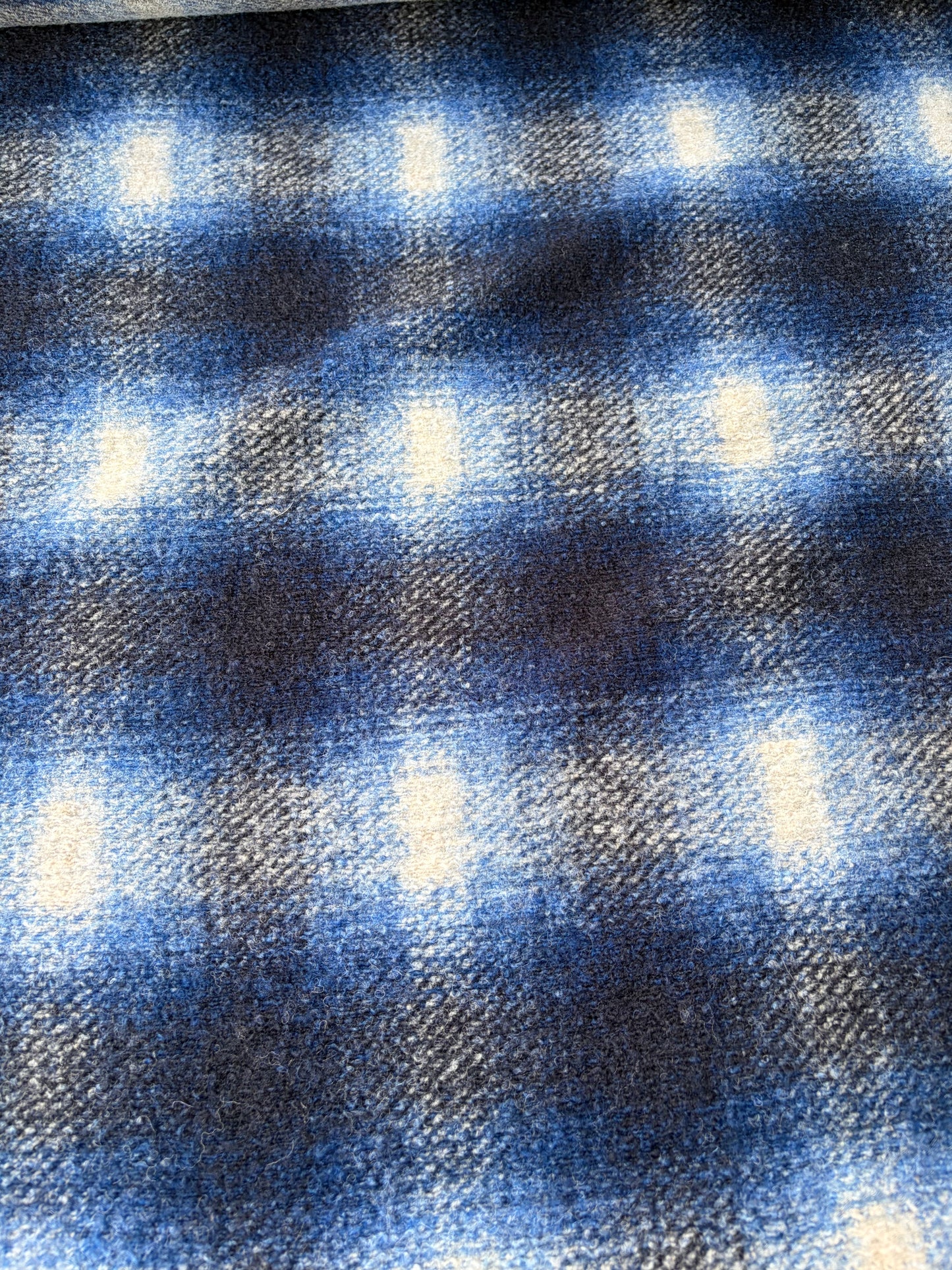 FELICE 010 blue checkered  boiled wool