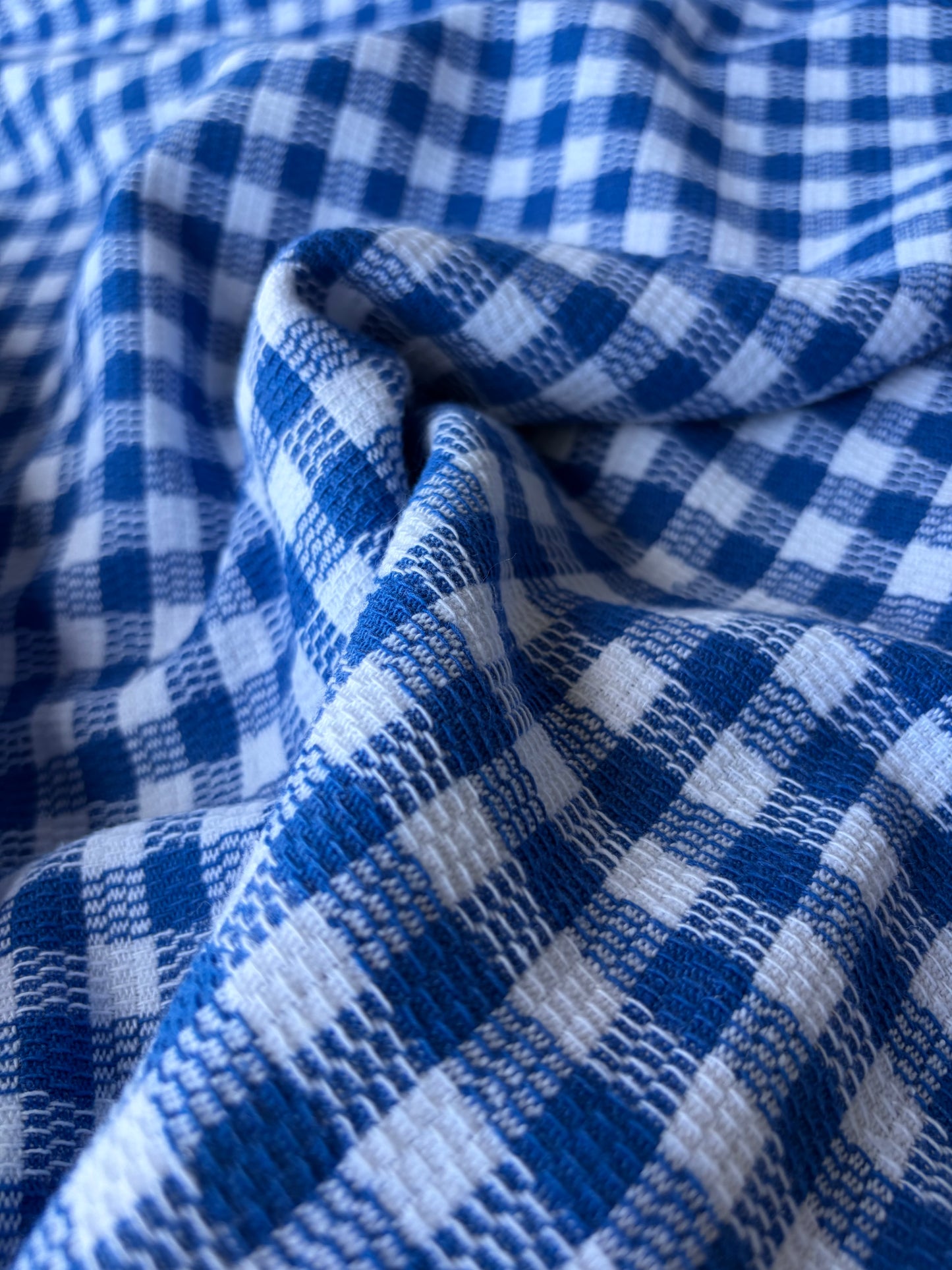FELICE 023 cobalt/white checkered heavy cotton tweed check