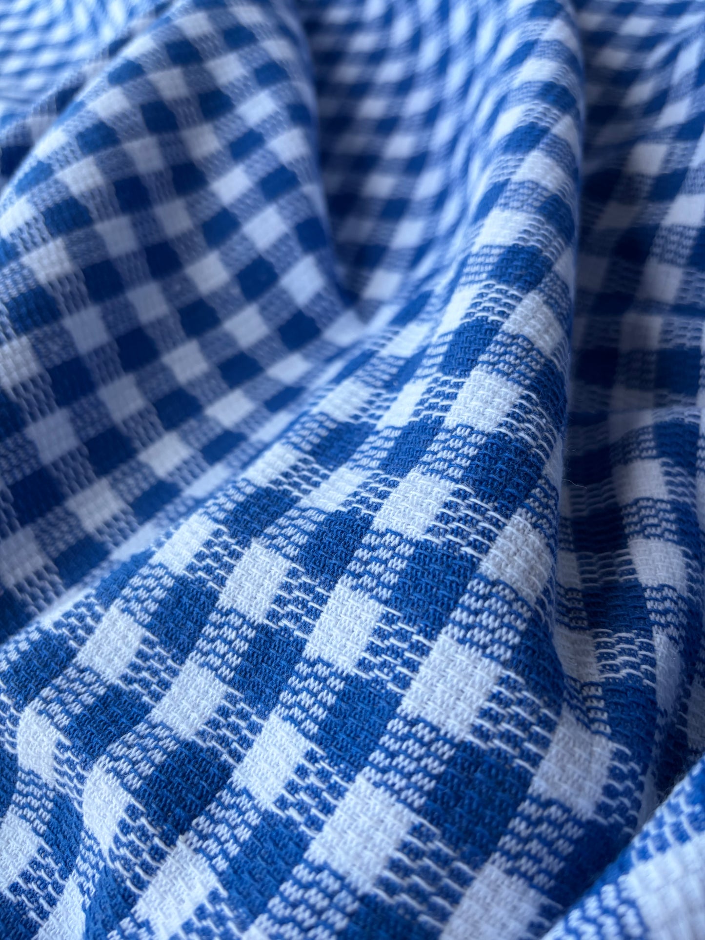 FELICE 023 cobalt/white checkered heavy cotton tweed check