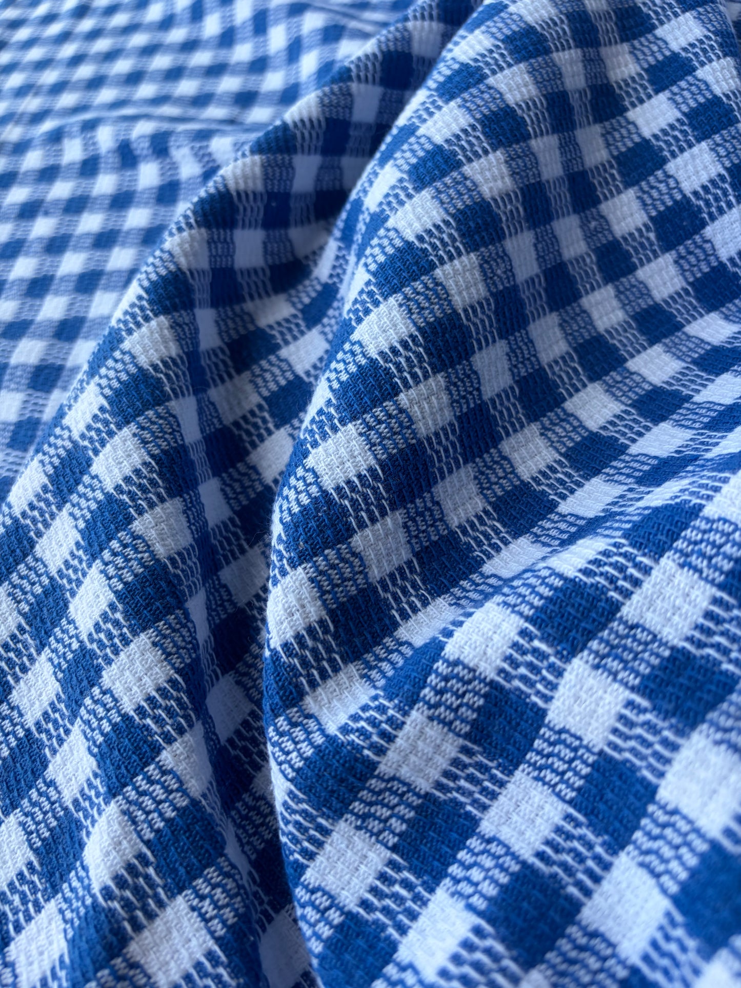 FELICE 023 cobalt/white checkered heavy cotton tweed check