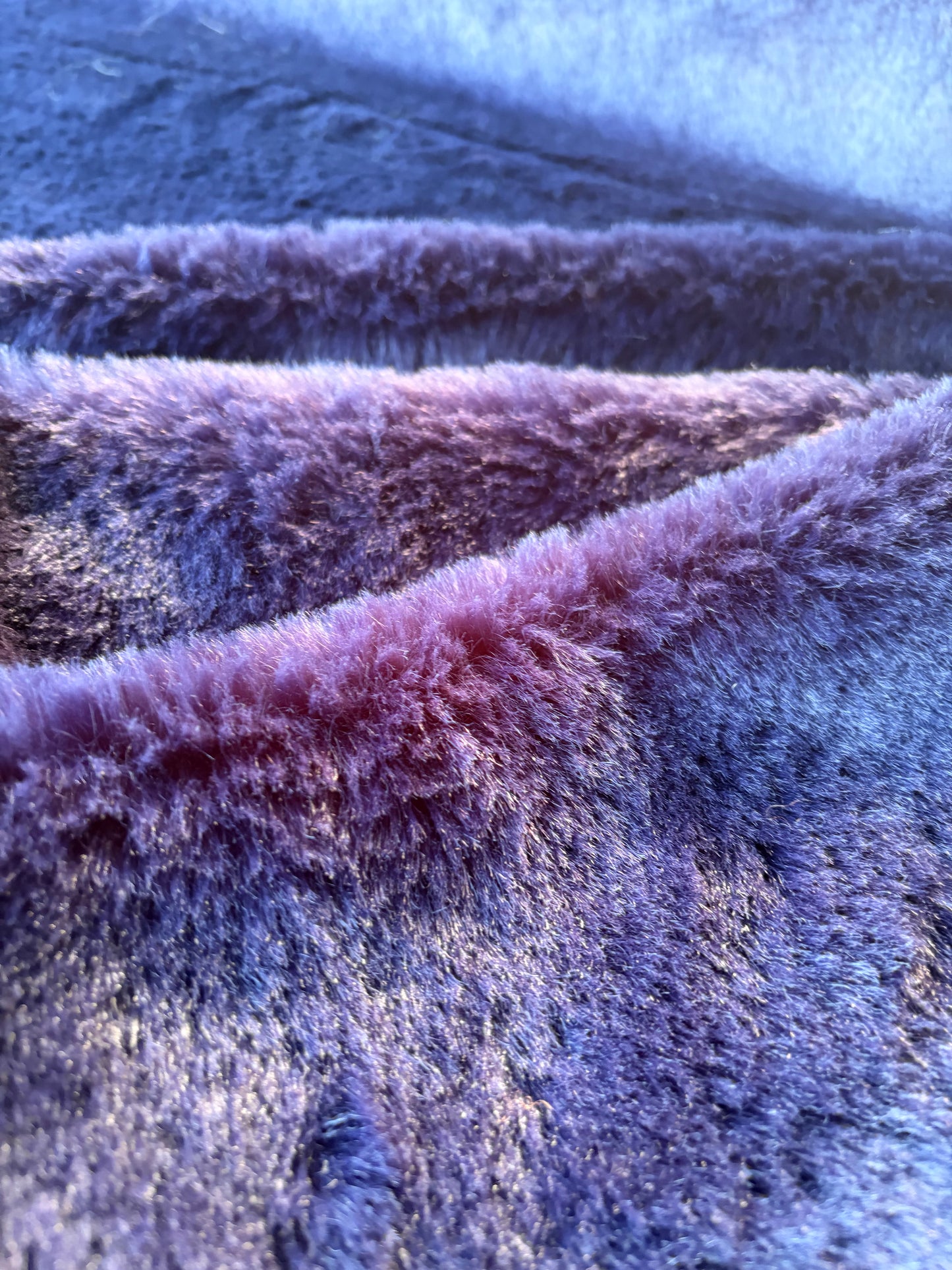 GAIL 014 ecopeliche purple