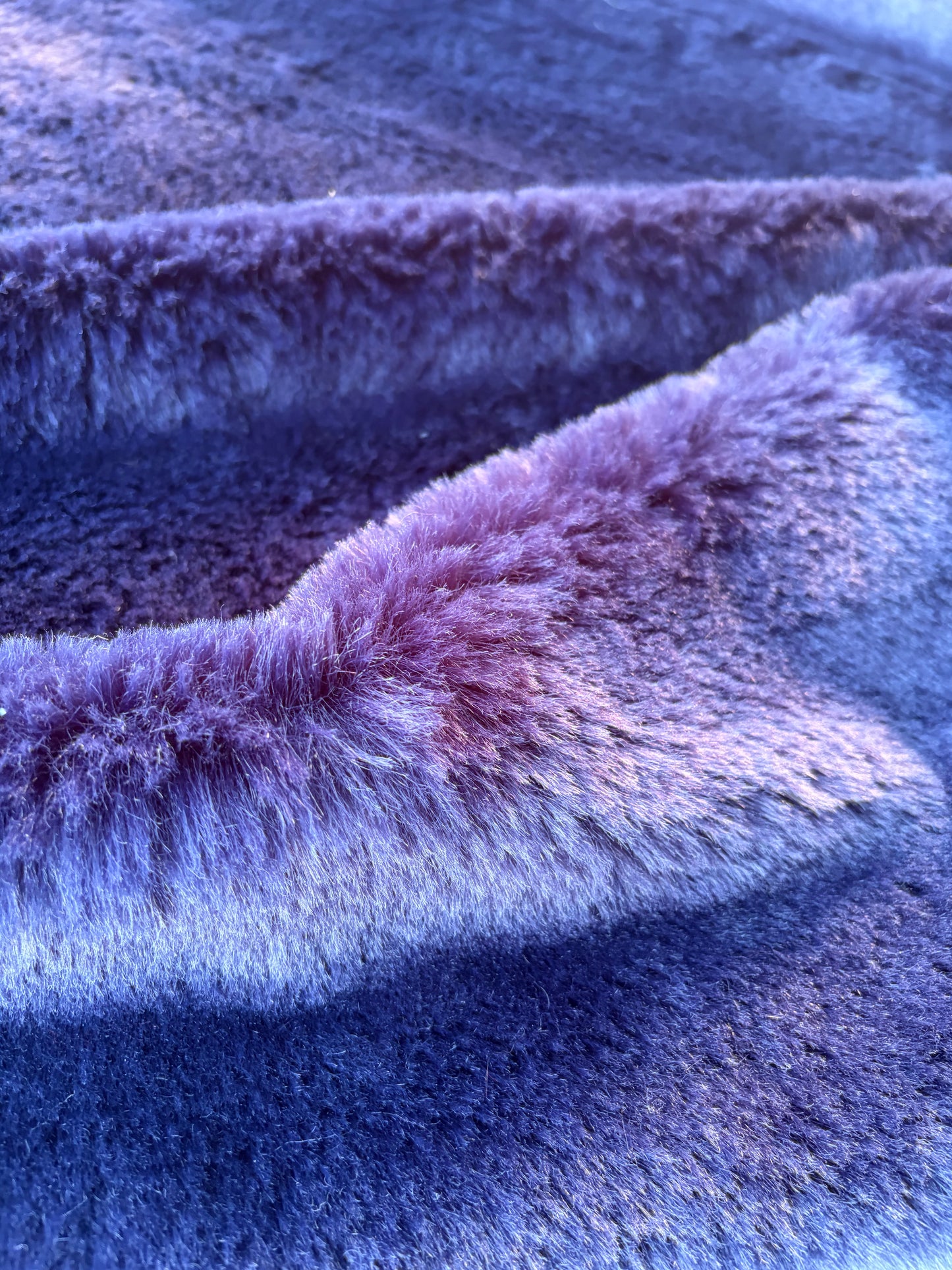 GAIL 014 ecopeliche purple