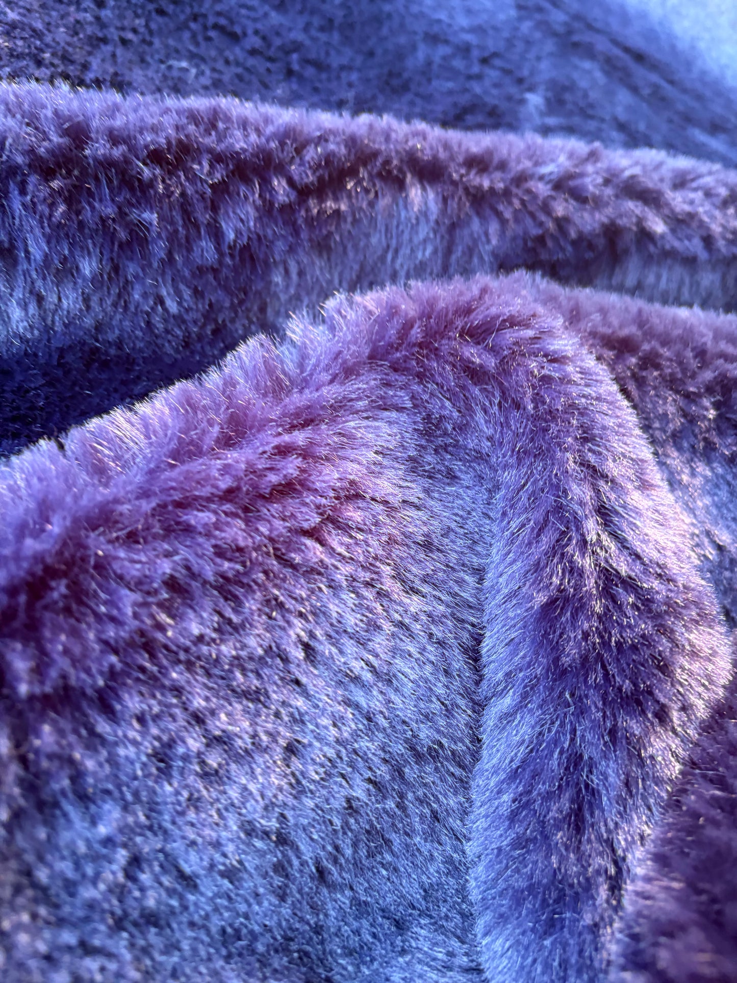 GAIL 014 ecopeliche purple