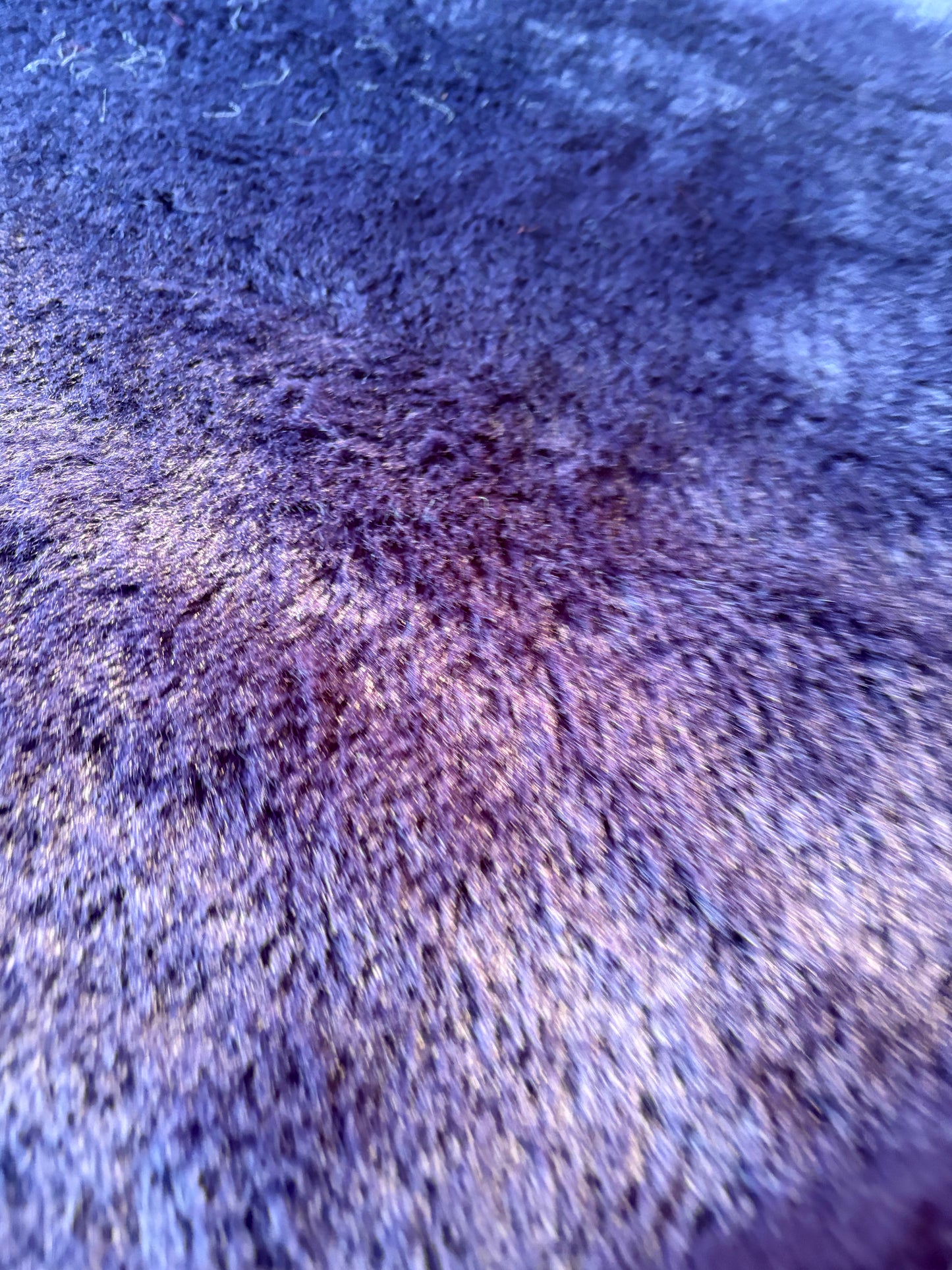 GAIL 014 ecopeliche purple