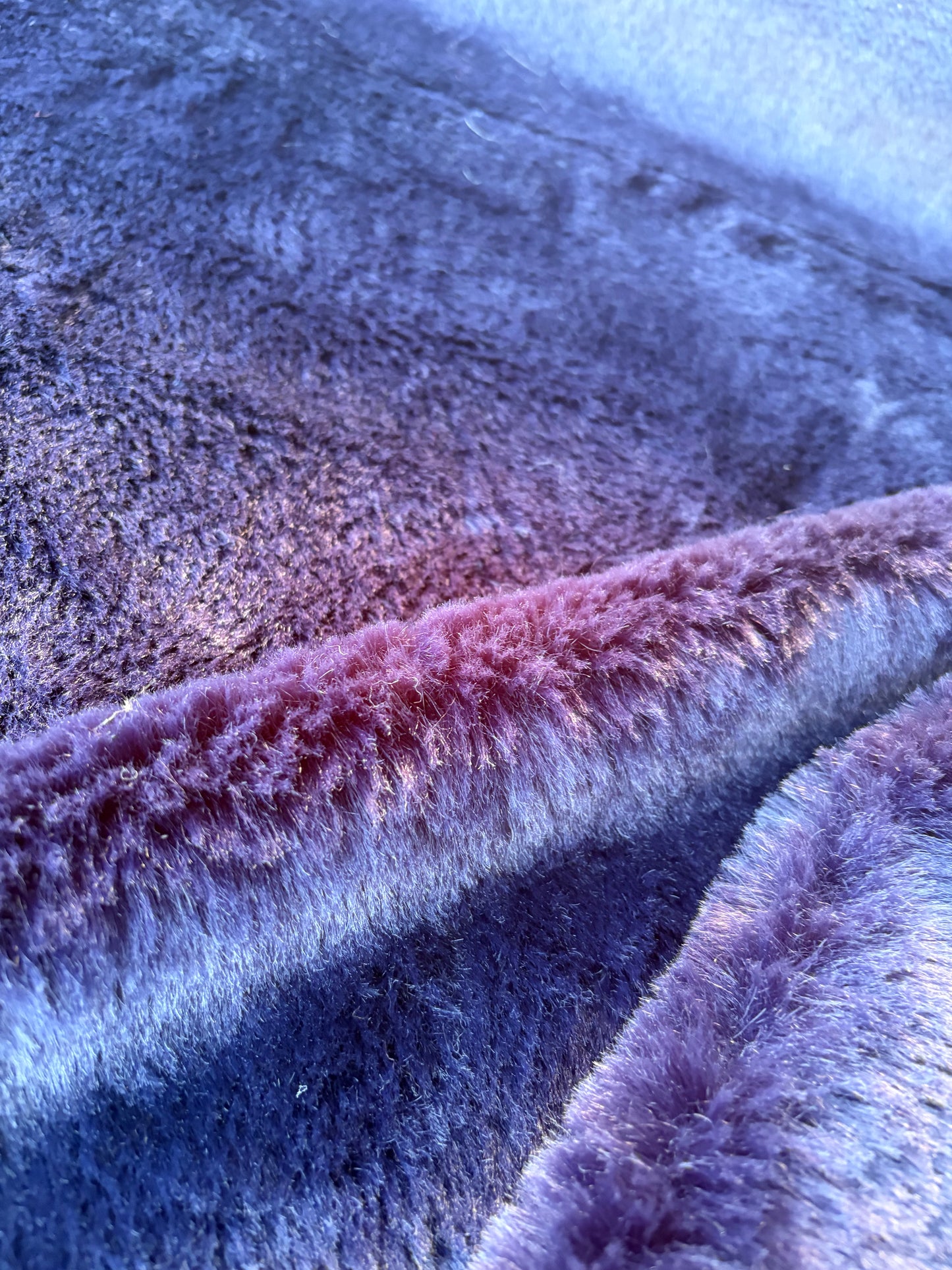 GAIL 014 ecopeliche purple