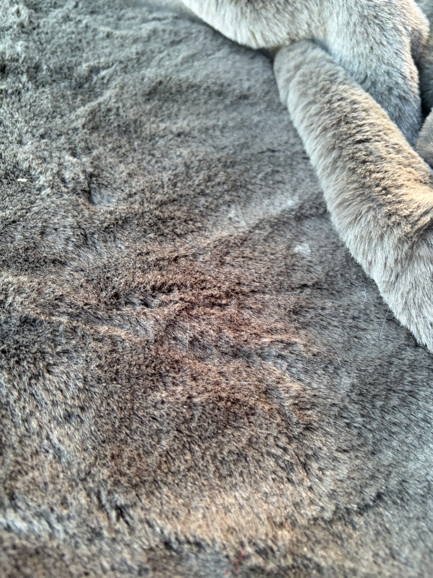 GAIL 016 ecopeliche taupe