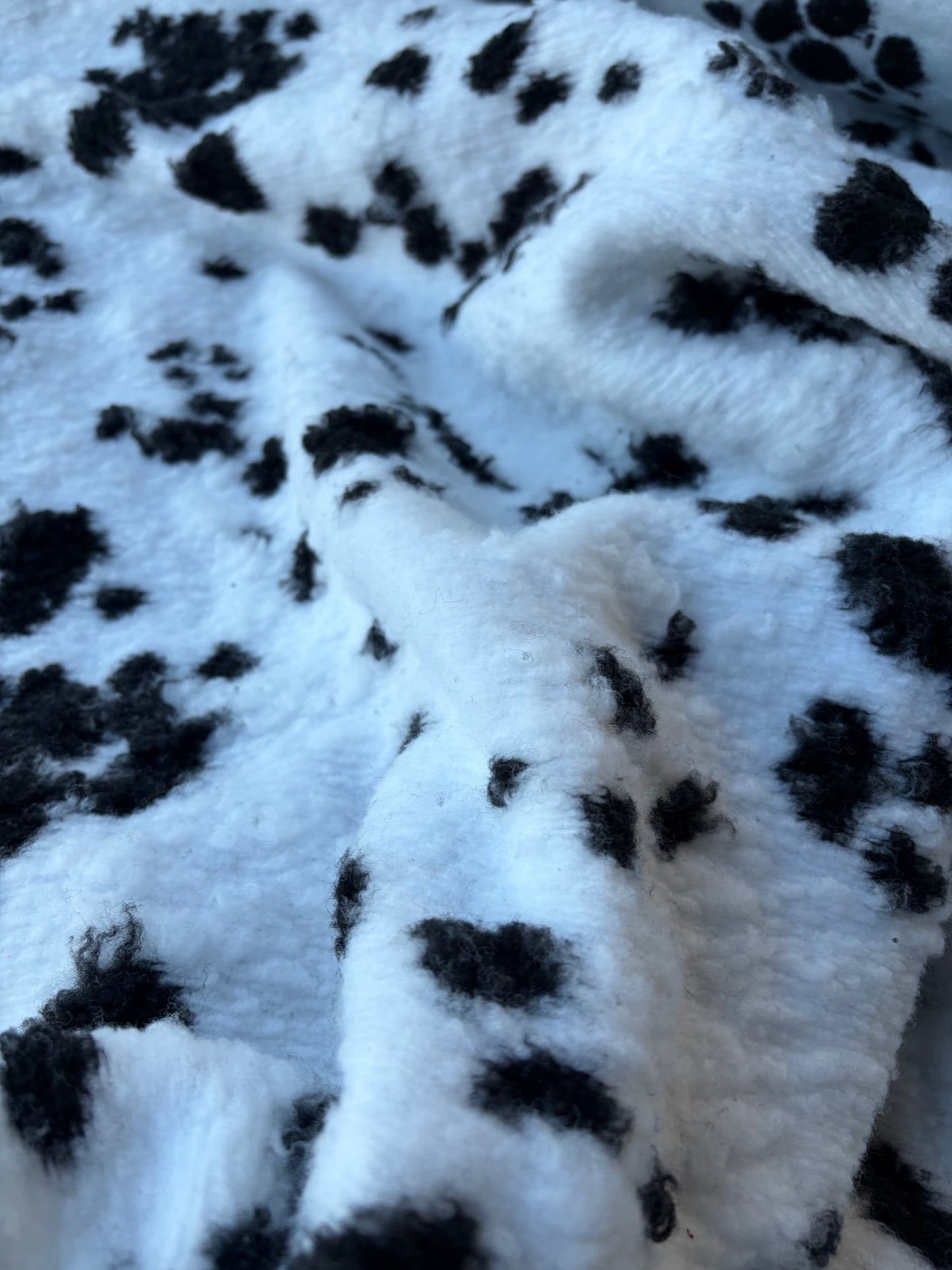 GAIL 020 heavy boiled wool dalmatian