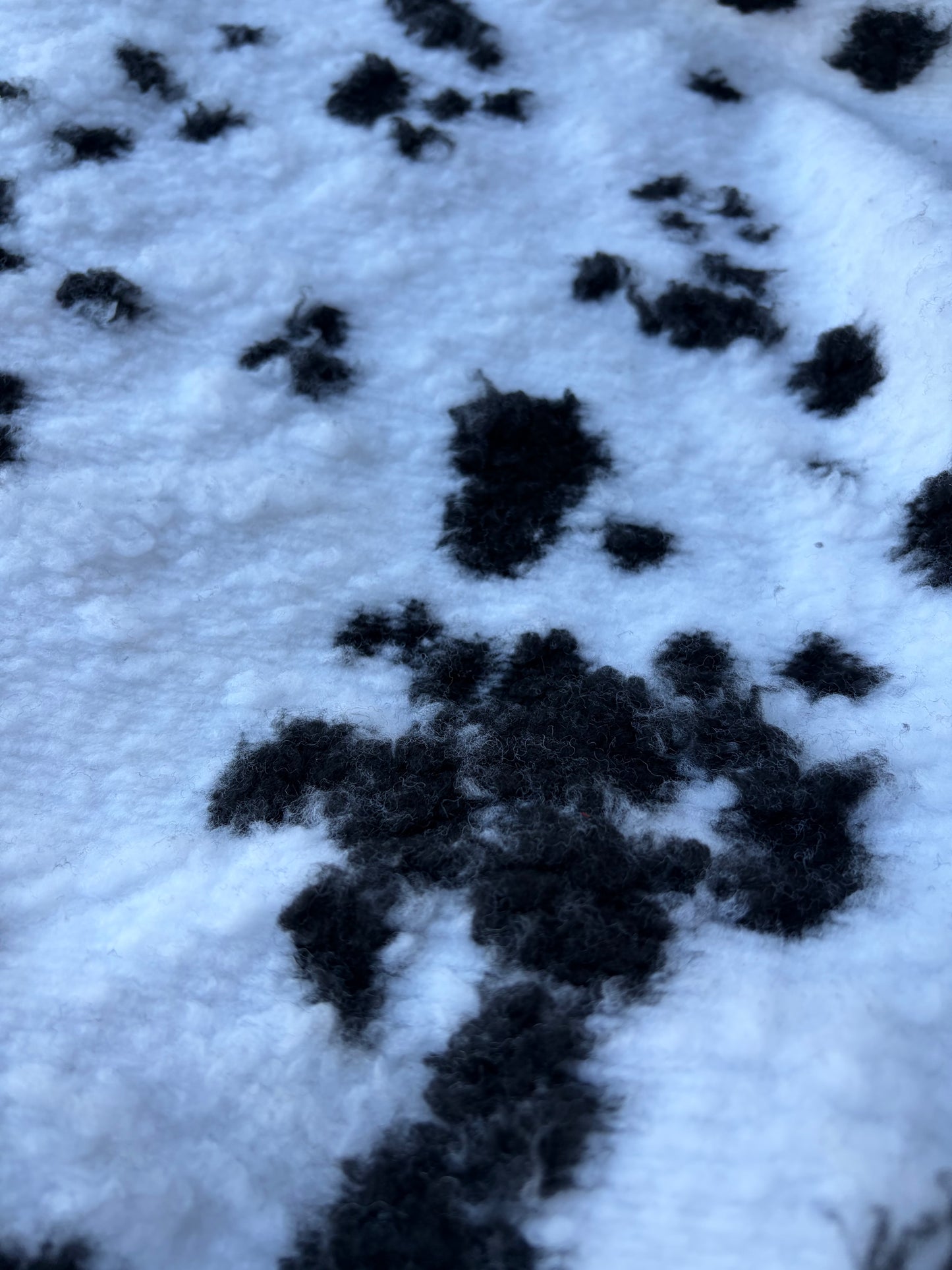 GAIL 020 heavy boiled wool dalmatian