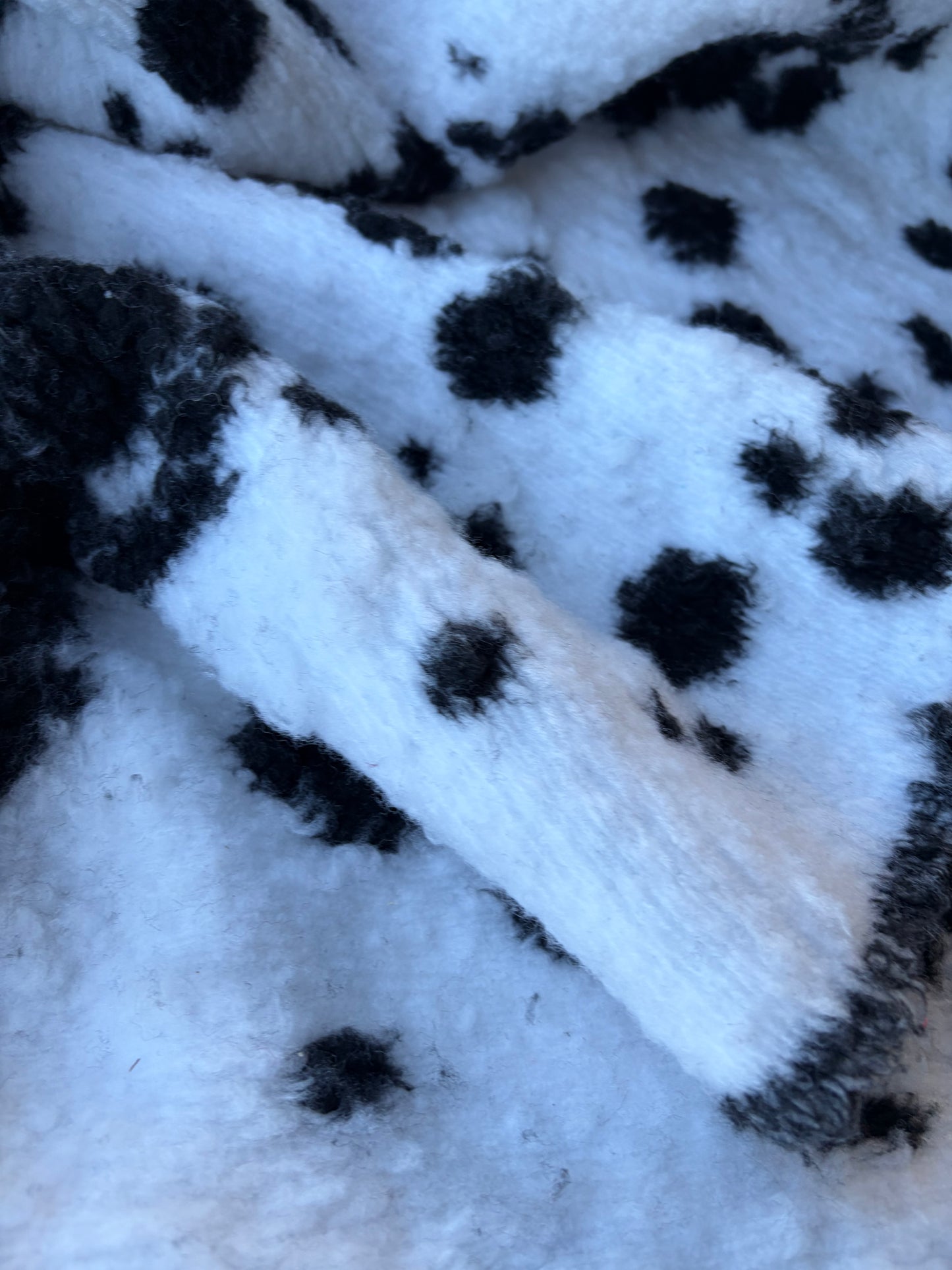 GAIL 020 heavy boiled wool dalmatian