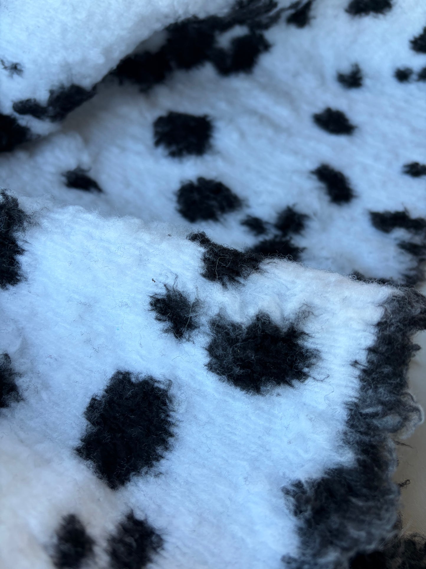 GAIL 020 heavy boiled wool dalmatian