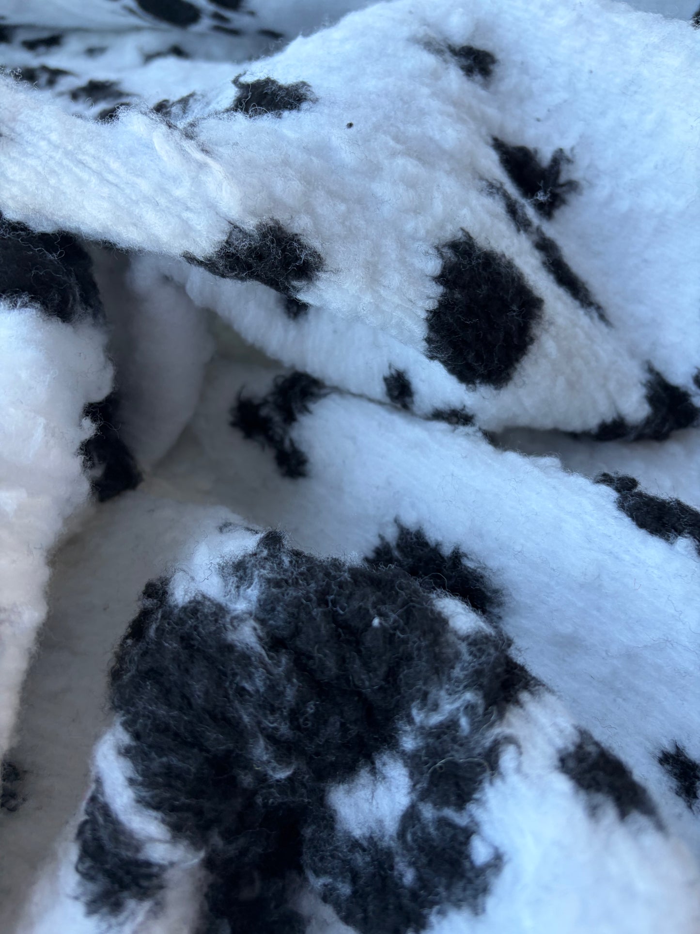 GAIL 020 heavy boiled wool dalmatian
