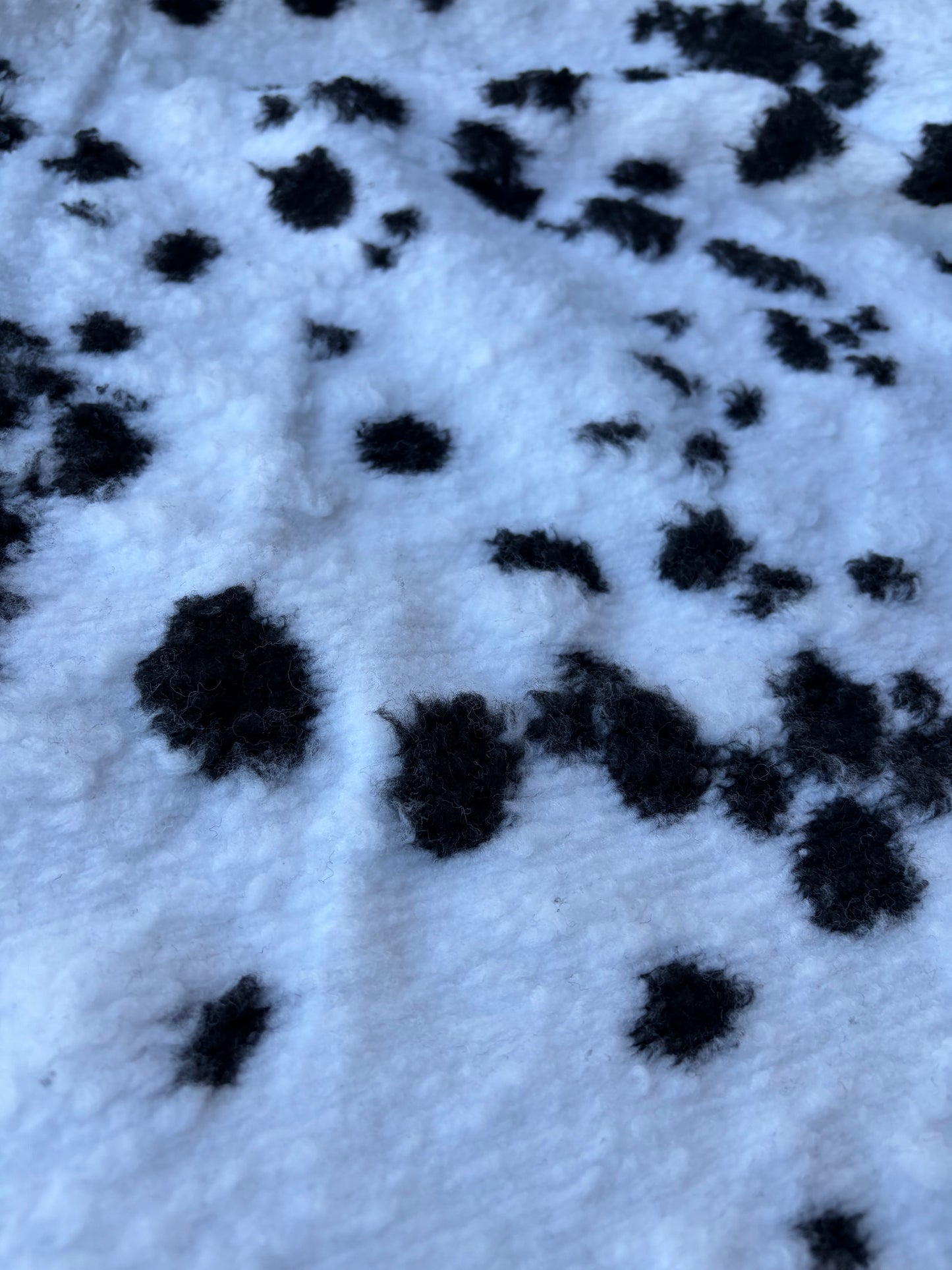 GAIL 020 heavy boiled wool dalmatian